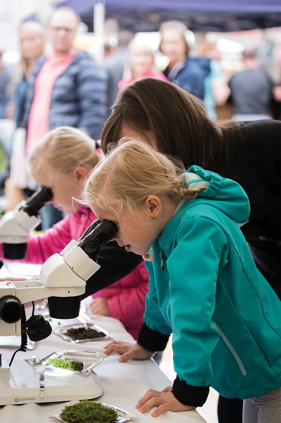 biofest3.jpg