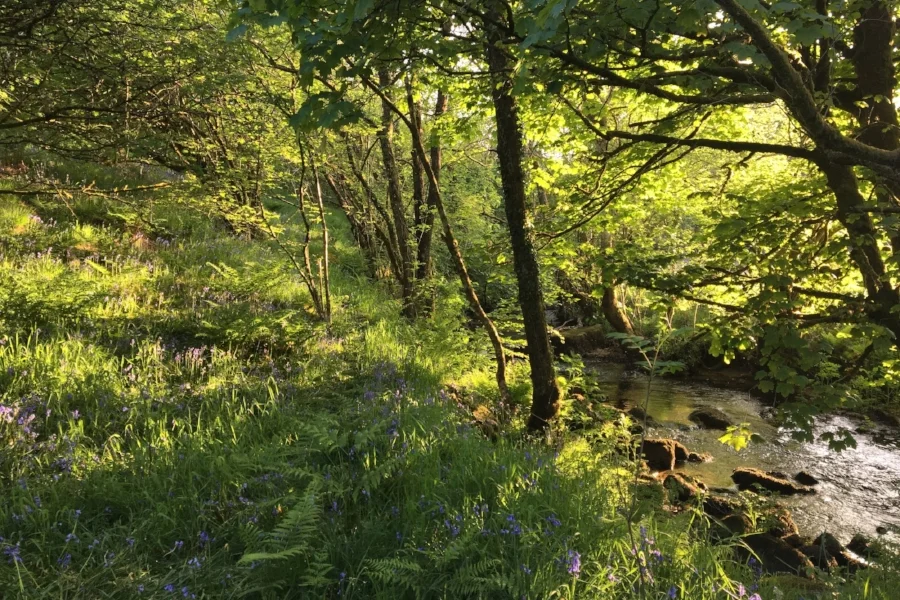 ABOUT — CHANGE IN NATURE