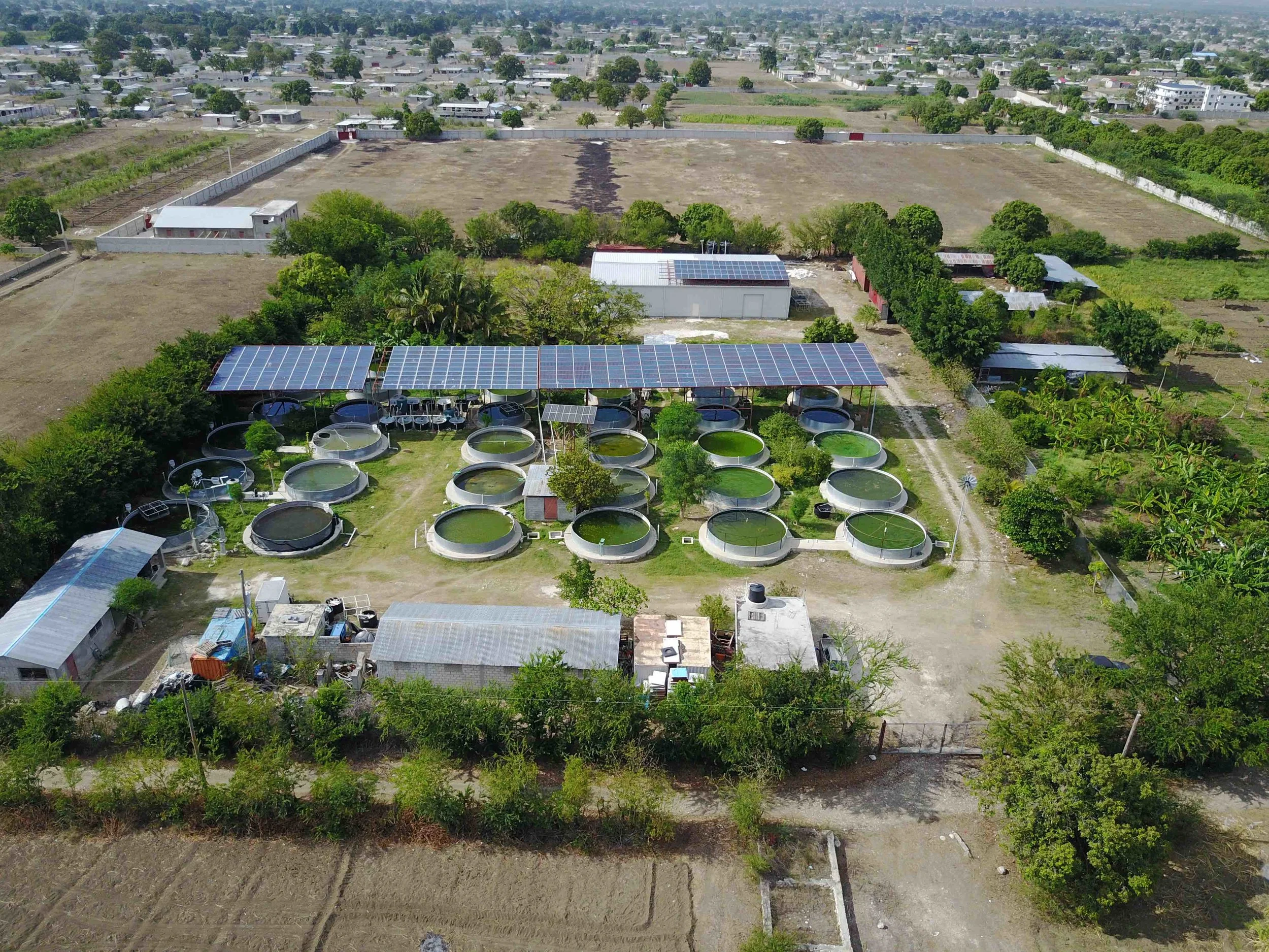Solar powered fish hatchery, Haiti. Caribbean Harvest Foundation
