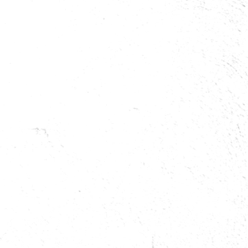 basak-kaptan-bilsart.gif