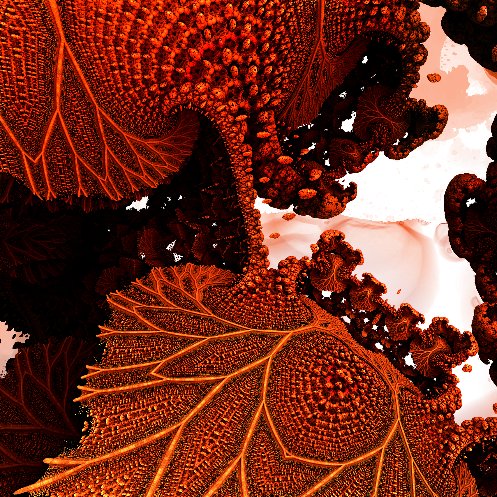 verum_corpus_27_instagram.png