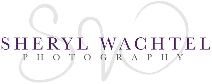 Sheryl Wachtel Final Logo-verysmall.jpg