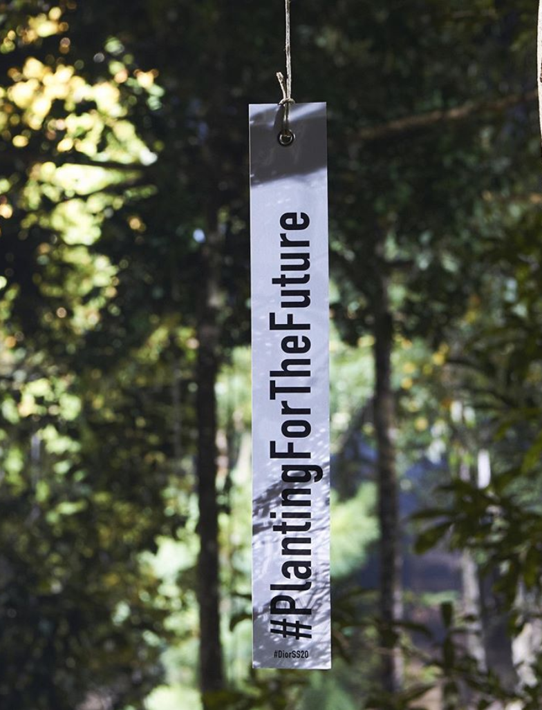 Plantingforthefuture.png