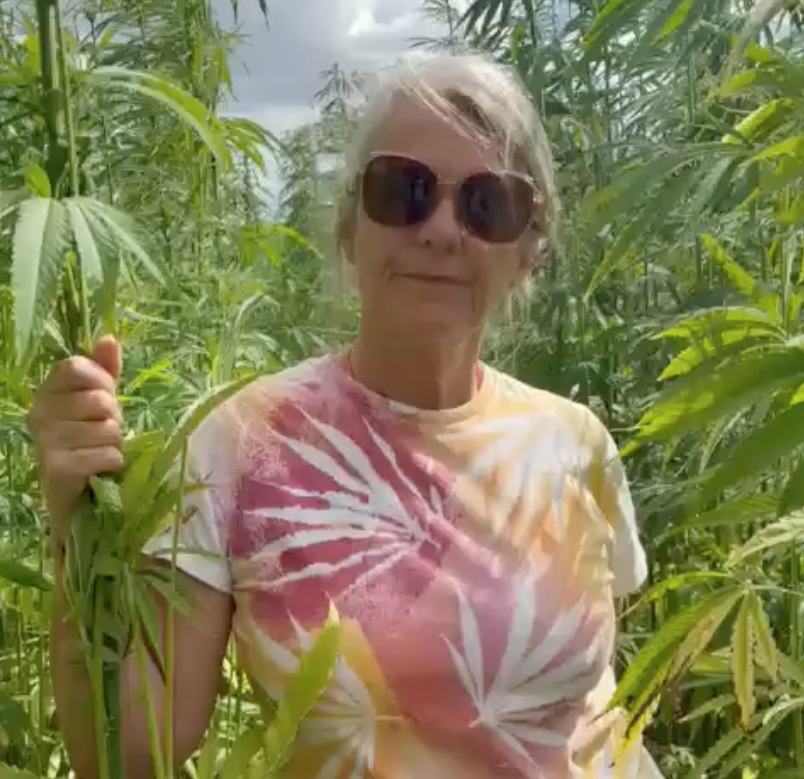 Hemp: A UK Wonder Fibre – So Why Aren't Policies and Infrastructure Supporting It?