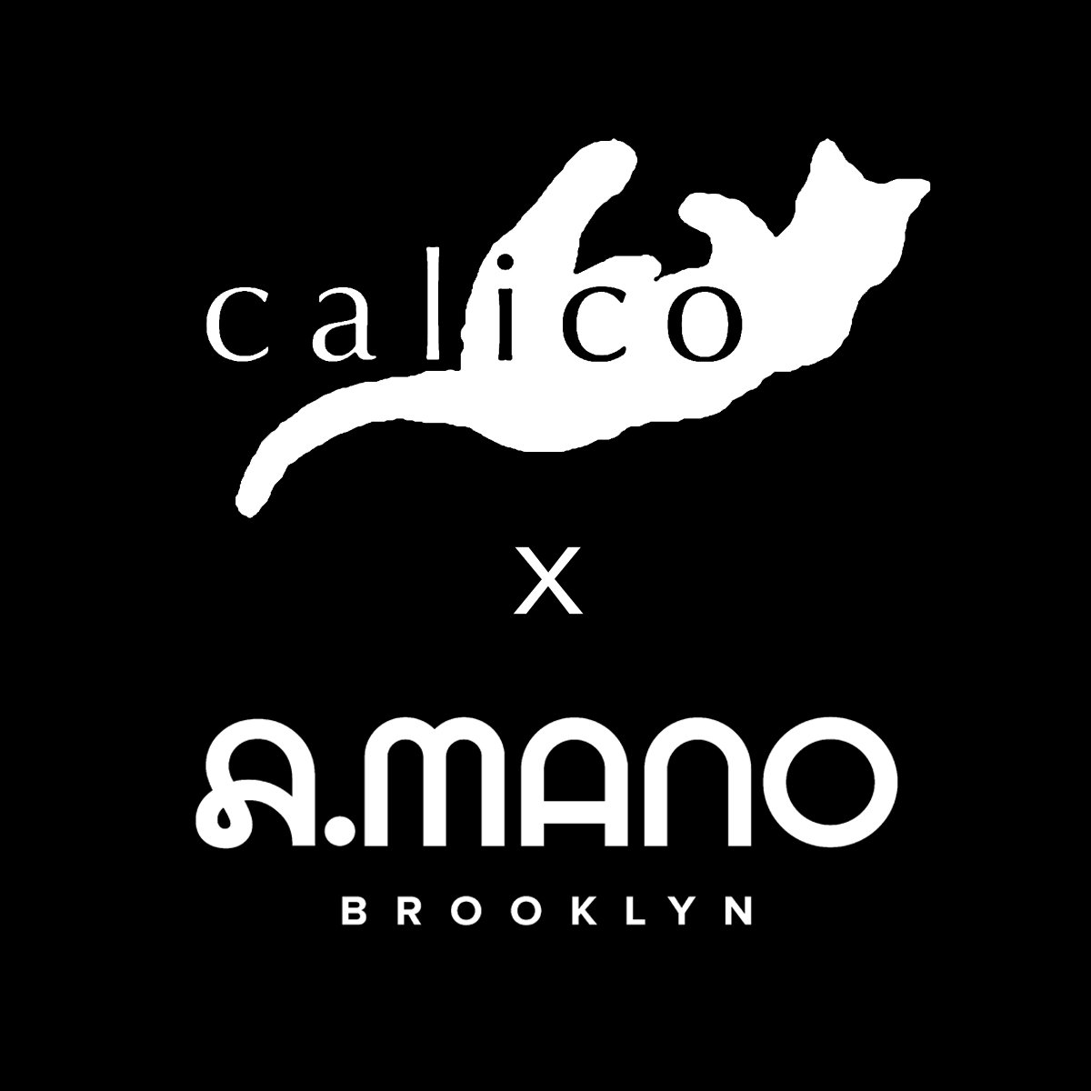 Opening June 14th • Brooklyn