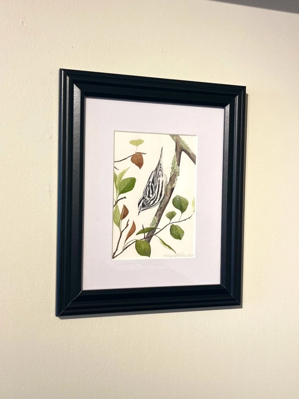  Michael Hanley&nbsp;  Black-and-white Warbler, 2026&nbsp;  Watercolor on hot press paper 7” x 5” (12” x 10” framed) 