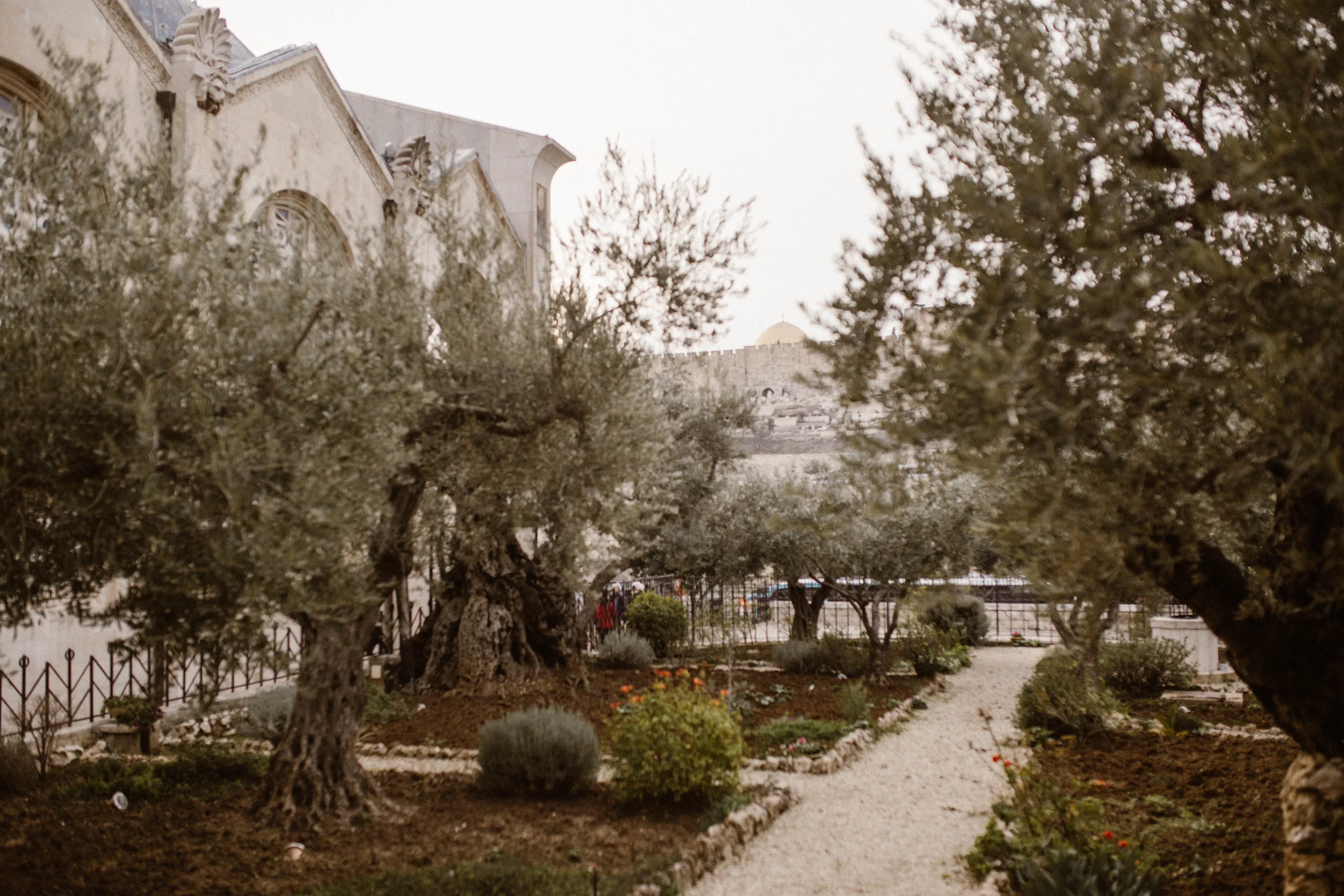 Mount of Olives