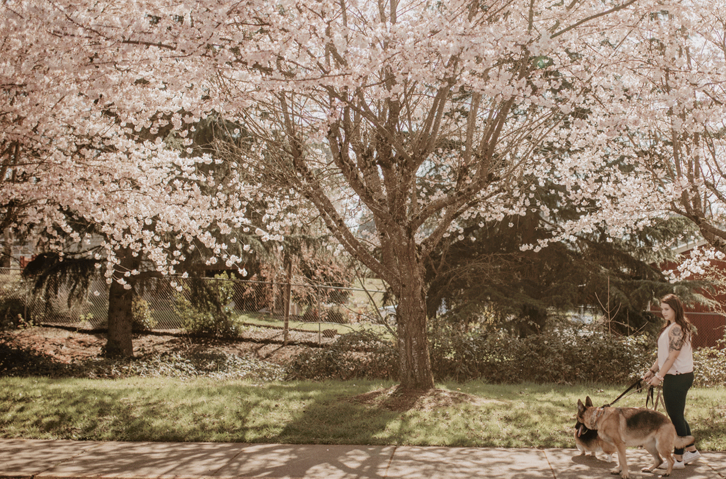 10 Things For Creatives To Do During A Slow Down