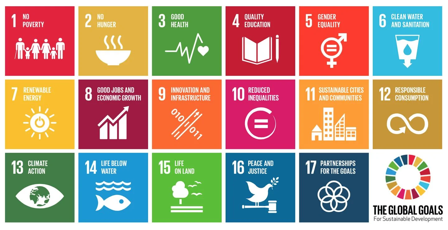17 Sustainable Development Goals