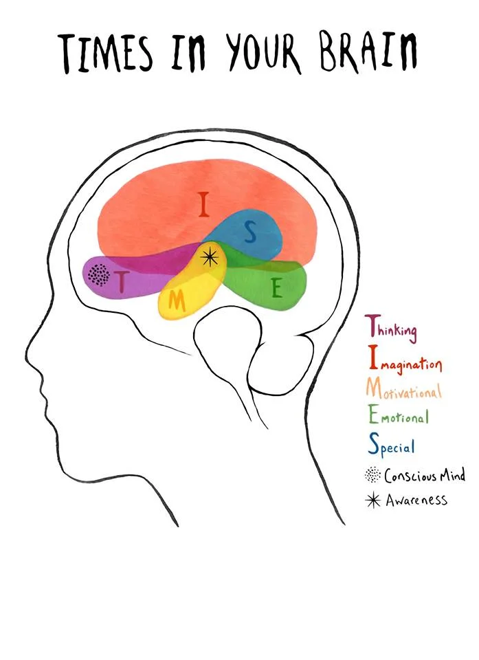 Ask questions that may open up brain networks: What kind of questions do you ask in order to mobilise the different brain networks in your self and your employees? Mark Robert Waldman tests this illustration of brain networks in order to simplify. Please test these 8 steps: 1.What do you really want to get out of this conversation? May give access to THINKING brain network (CEN). 2.Please tell me more about what you want to get out of this session? May open to seeking MOTIVATION and reward network. 3.Why is it so important for you? What is the value for you to reach this goal? May give access to WHOLENESS BALANCING AWARENESS VALUE network (SN). 4.Write down what you want and why it is valuable for you. May give access to THINKING and motoric network (CEN). 5.IMAGINE, visualise what happen when you do what you want. Ask your creative problem solving network, that is part of (DMN). 6.Do you get stuck? Ask your INTUITION how you may solve it. Ask for non verbal inner feelings. May give access to WHOLENESS BALANCING AWARENESS VALUE network (SN), salience or special network to integrate, balance the wholeness. 7.When you overview all what you have told in these earlier arguments – what insight, experience have you got so far in the conversation? May give access to WHOLENESS BALANCING AWARENESS VALUE network (SN). 8.Some place in the conversation it may be appropriate to ask: What feelings are coming up inside you? What do you feel about what you just said? May give access to PRIMARY DEEPER EMOTIONS networks of: Rage or fear (fight or flight), care, grief, play networks. Please tell what do you experience? Do you want to experience your main brain networks, please contact helge.christie@gmail.com