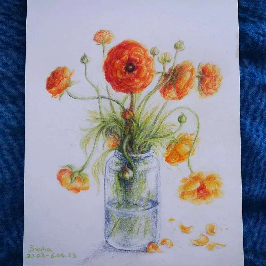 The lovely @lilymarshallmchugh gifted me these Persian buttercups and I fell in love 🧡 I couldn't stop looking at them so I had to capture their delicate grace. 
.
It was such a nice change from animating, where I have to be fast and minimalist. It 