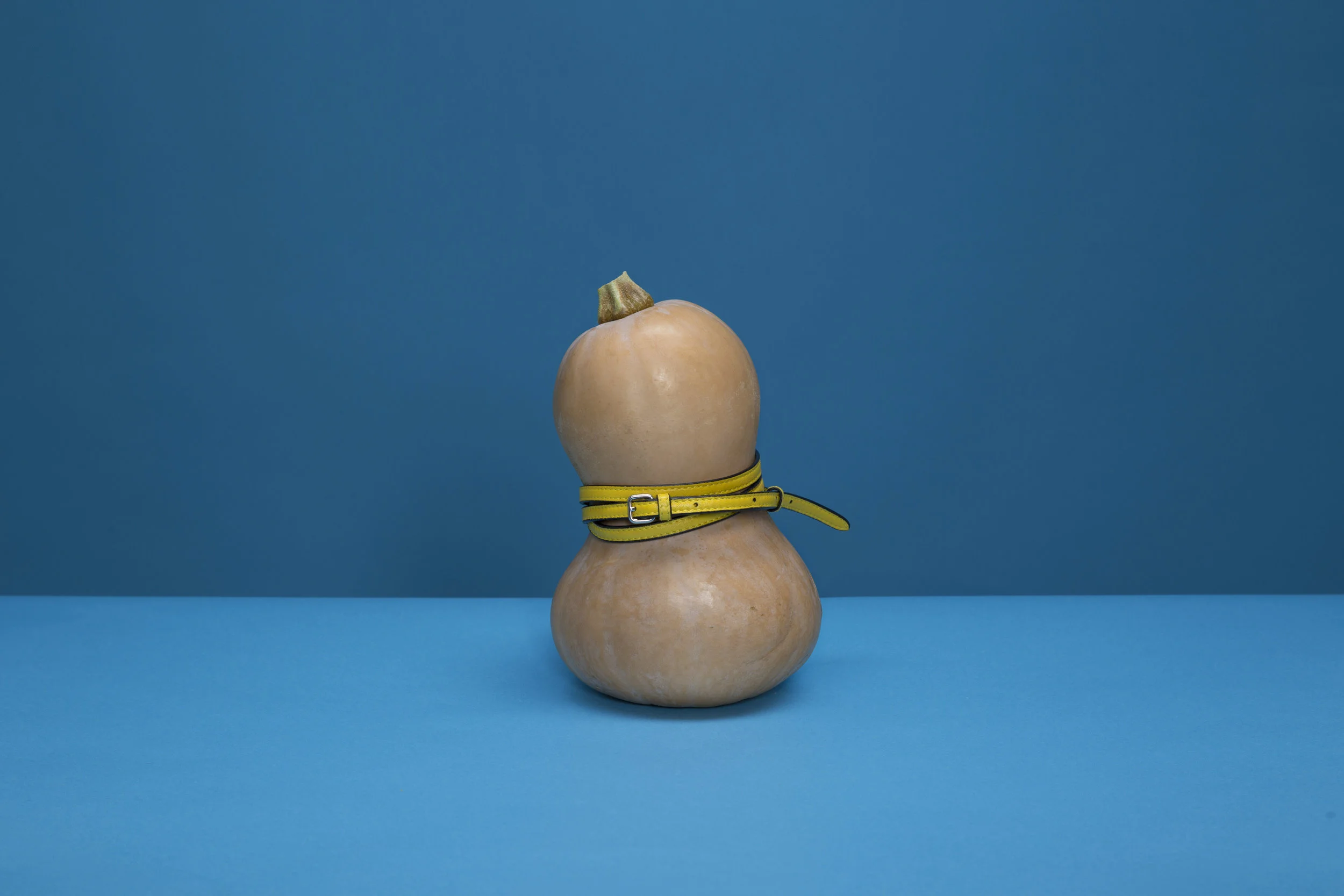 Veg_butternut.jpg