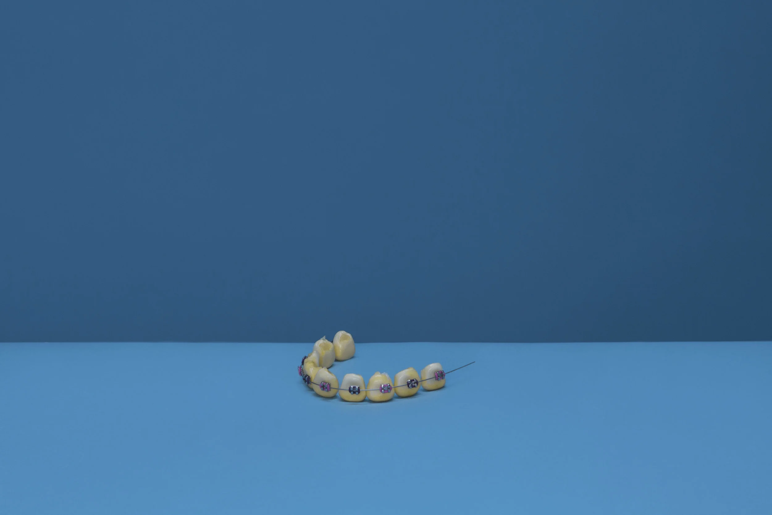 Veg_corn.jpg