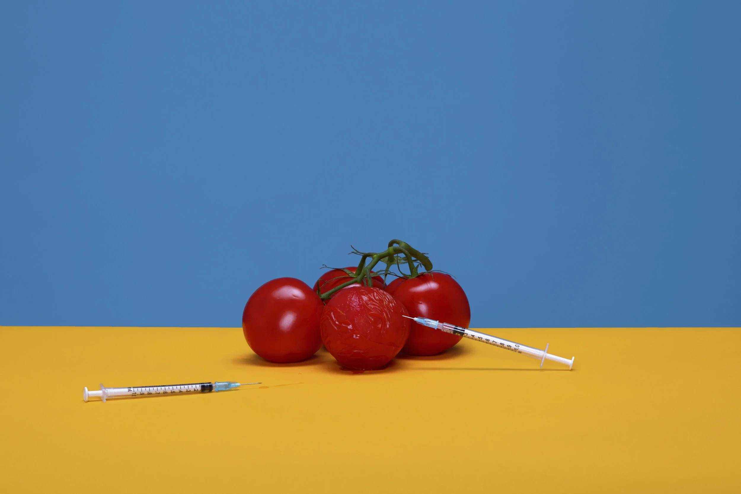 Veg_tomato_2.jpg