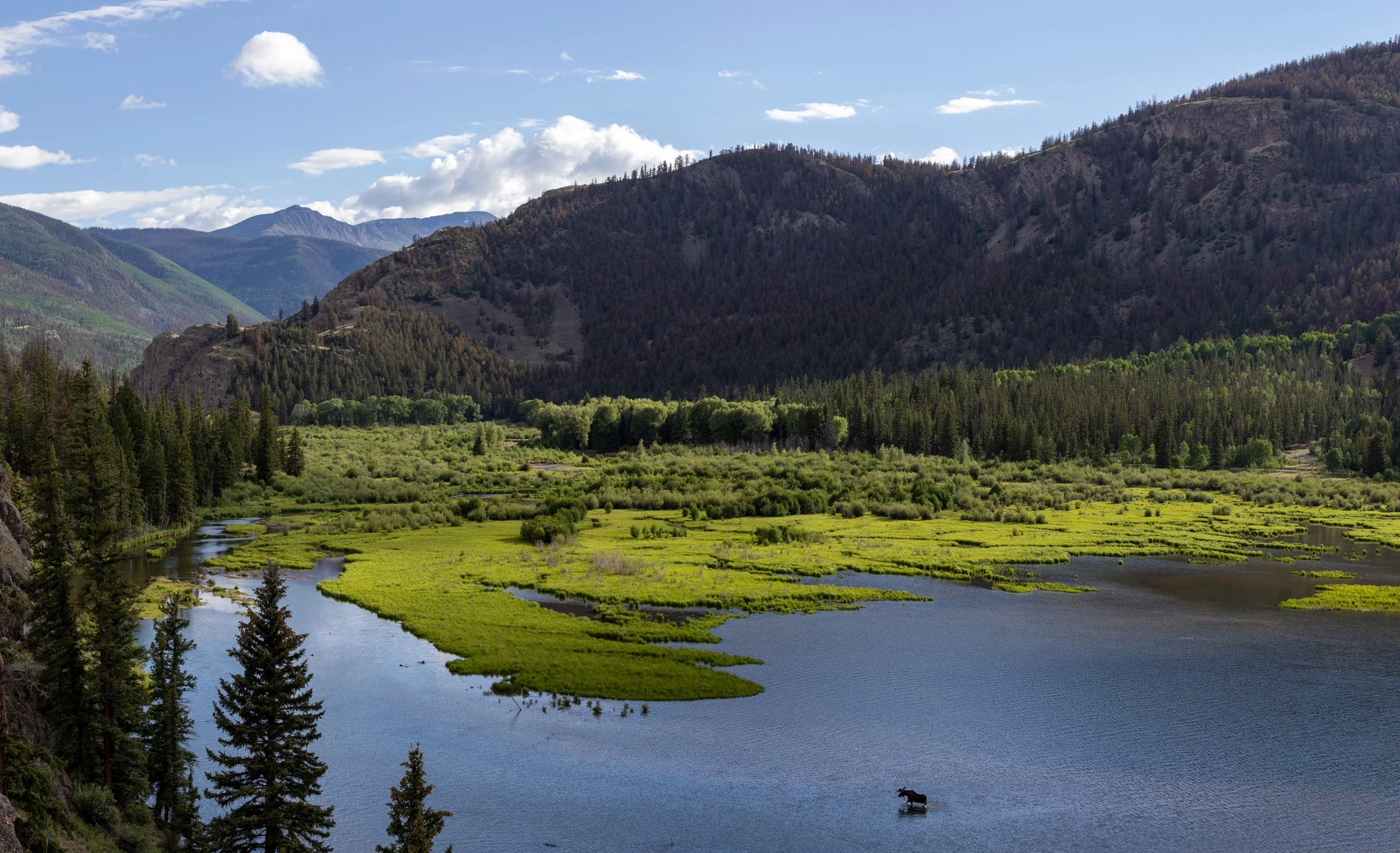 AI Will Not Replace Us