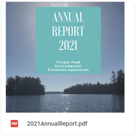 2021AnnualReport.png