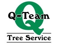Q-Team