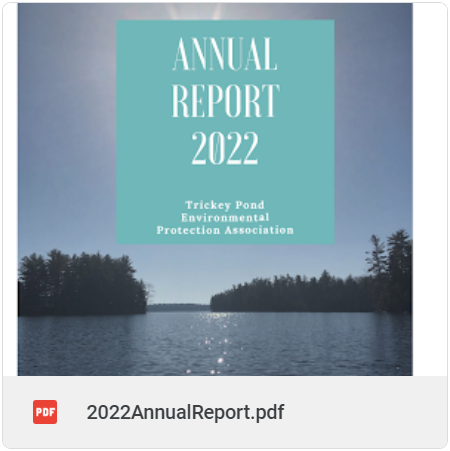 2022AnnualReport.png