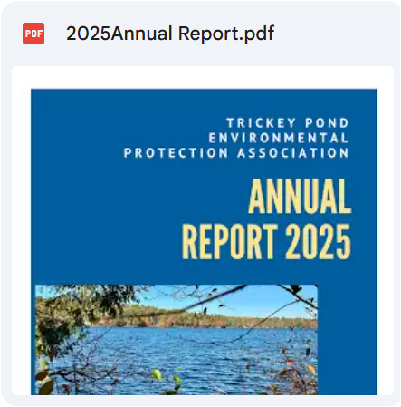 2025AnnualReport.png