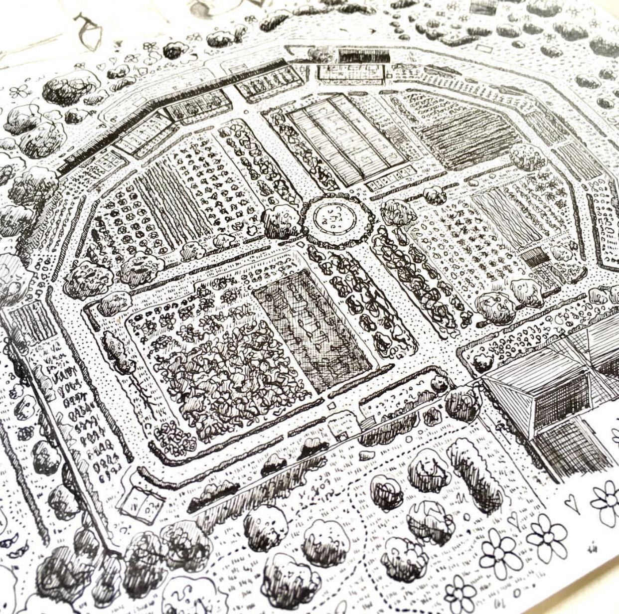 The Walled Garden at Great Glemham House, by Tessa Newcomb.