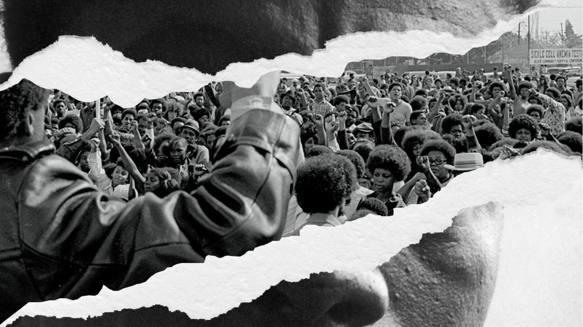 Invitation: Screening of "I'm not your Negro"