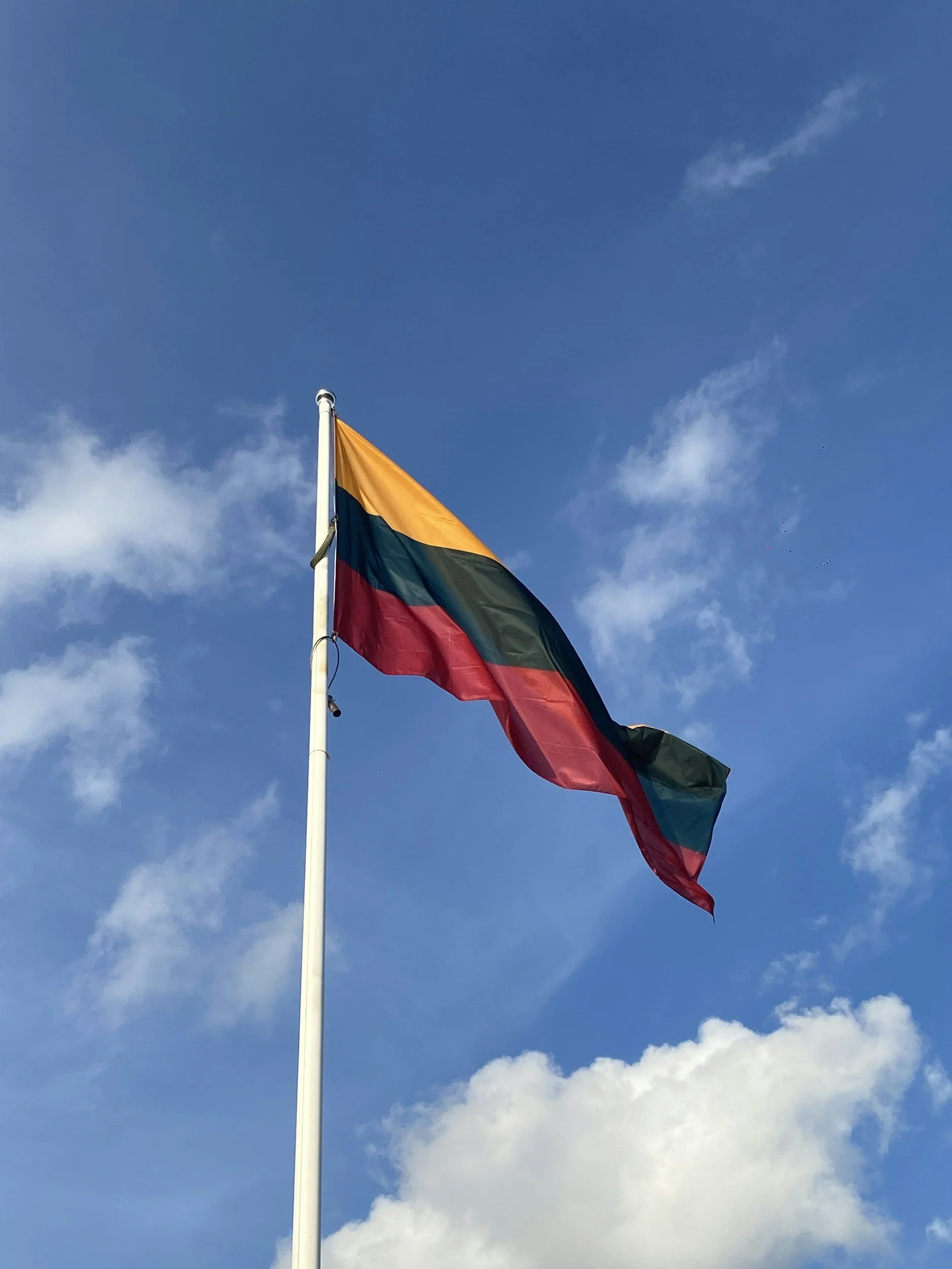 Lithuania's strategic reorientation towards China: New research article