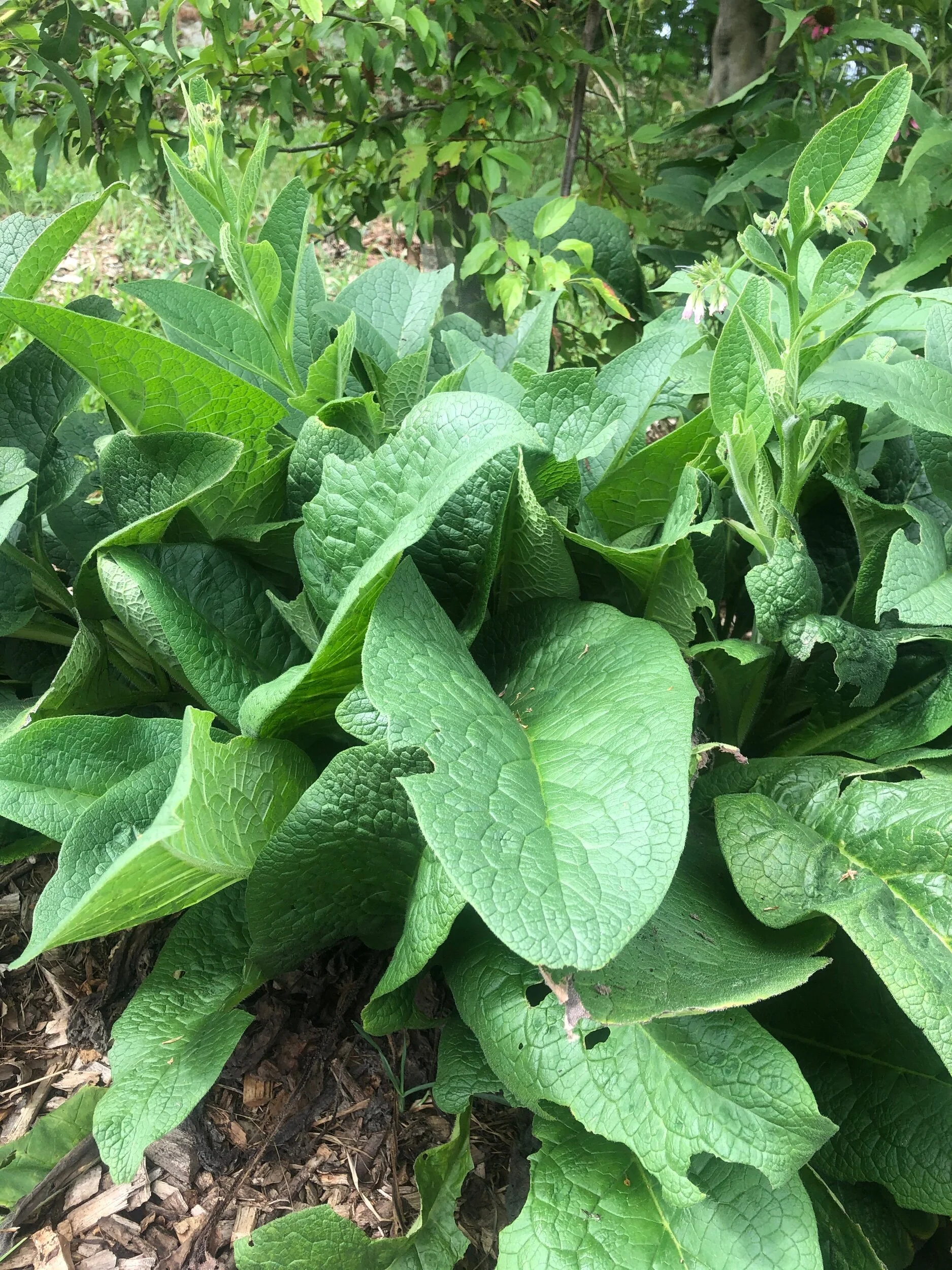 C1913CE4-2944-427C-9E0F-BC4D54533169