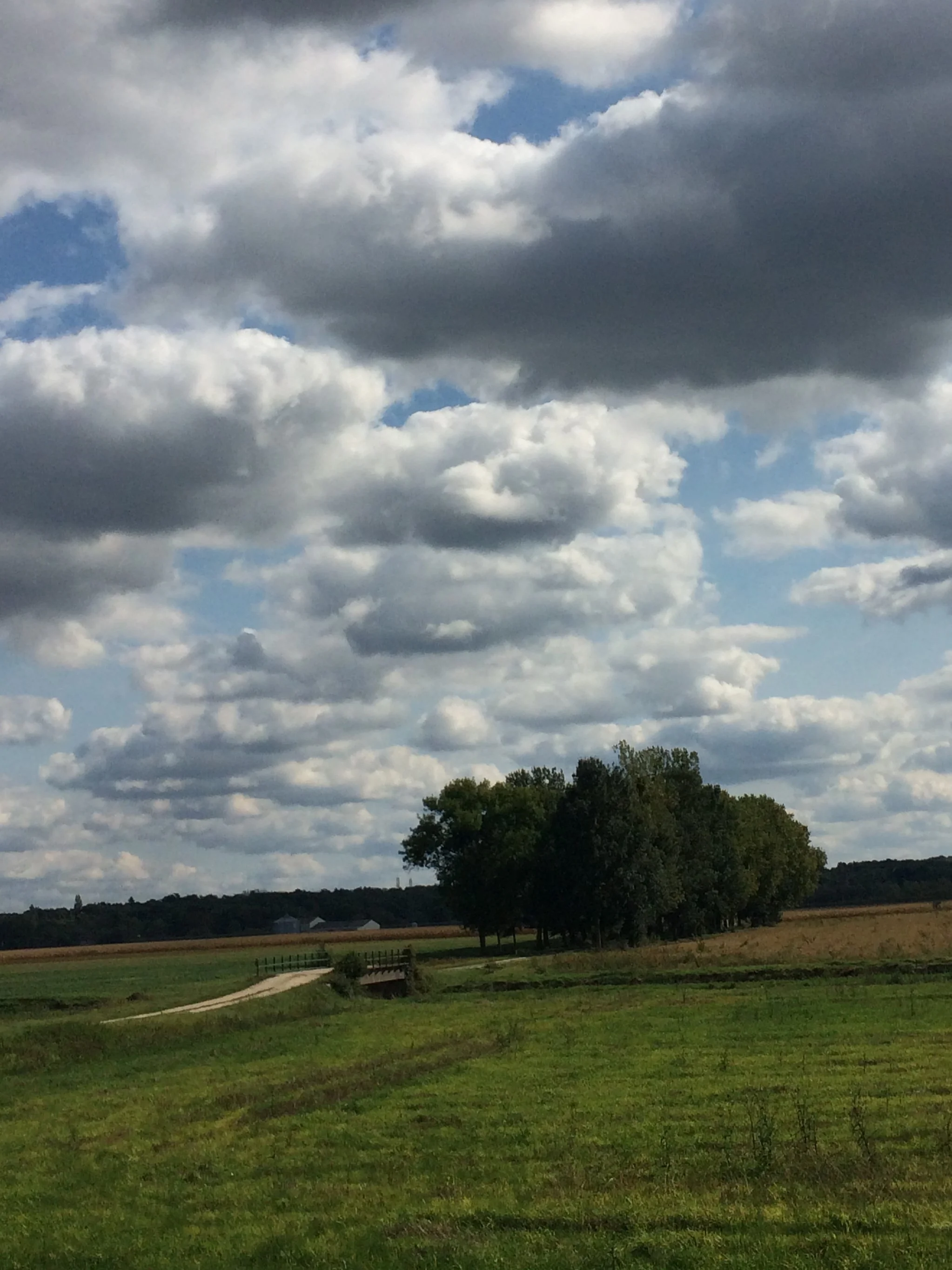 Great spirits have always encountered violent opposition from mediocre minds.