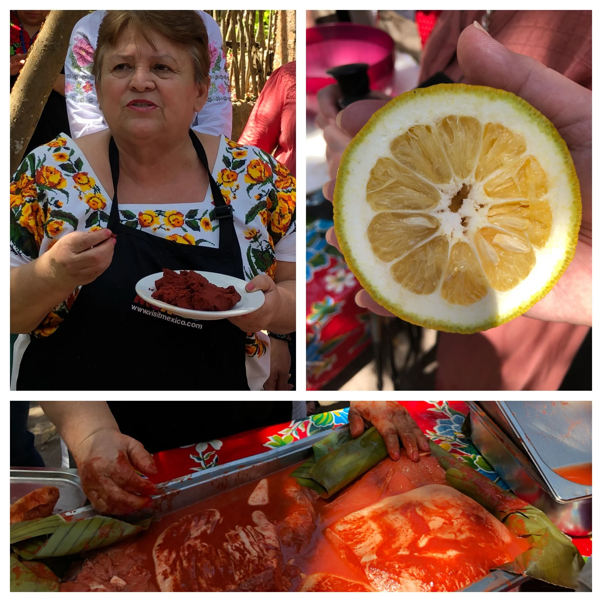 Annatto-The everyday spice of Yucatecan Cuisine 