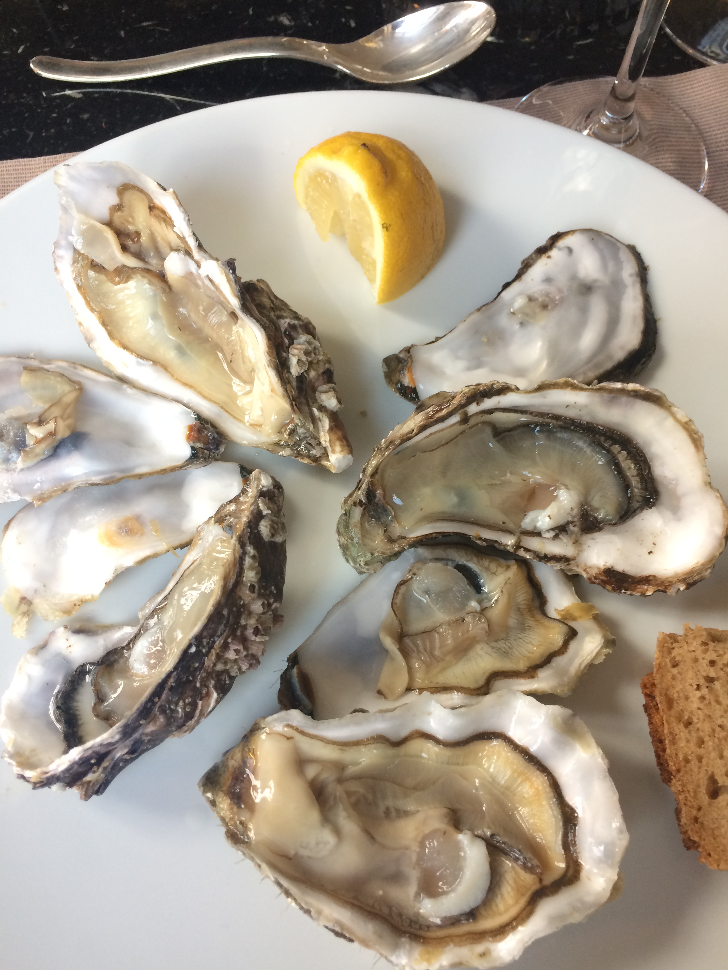 The day after Thanksgiving, don't beat yourself up for over-indulging