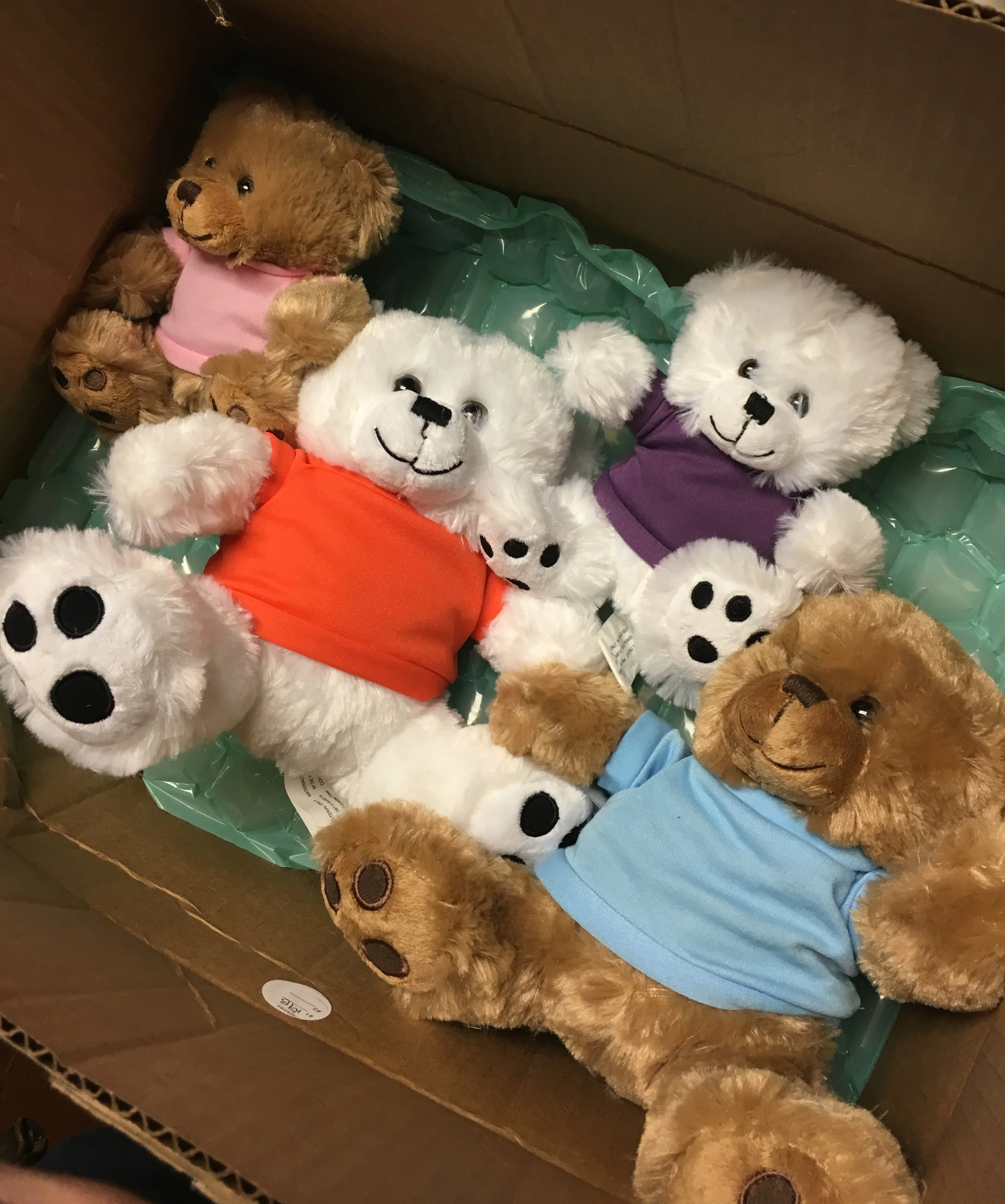 Personal Attachments to Inanimate Objects