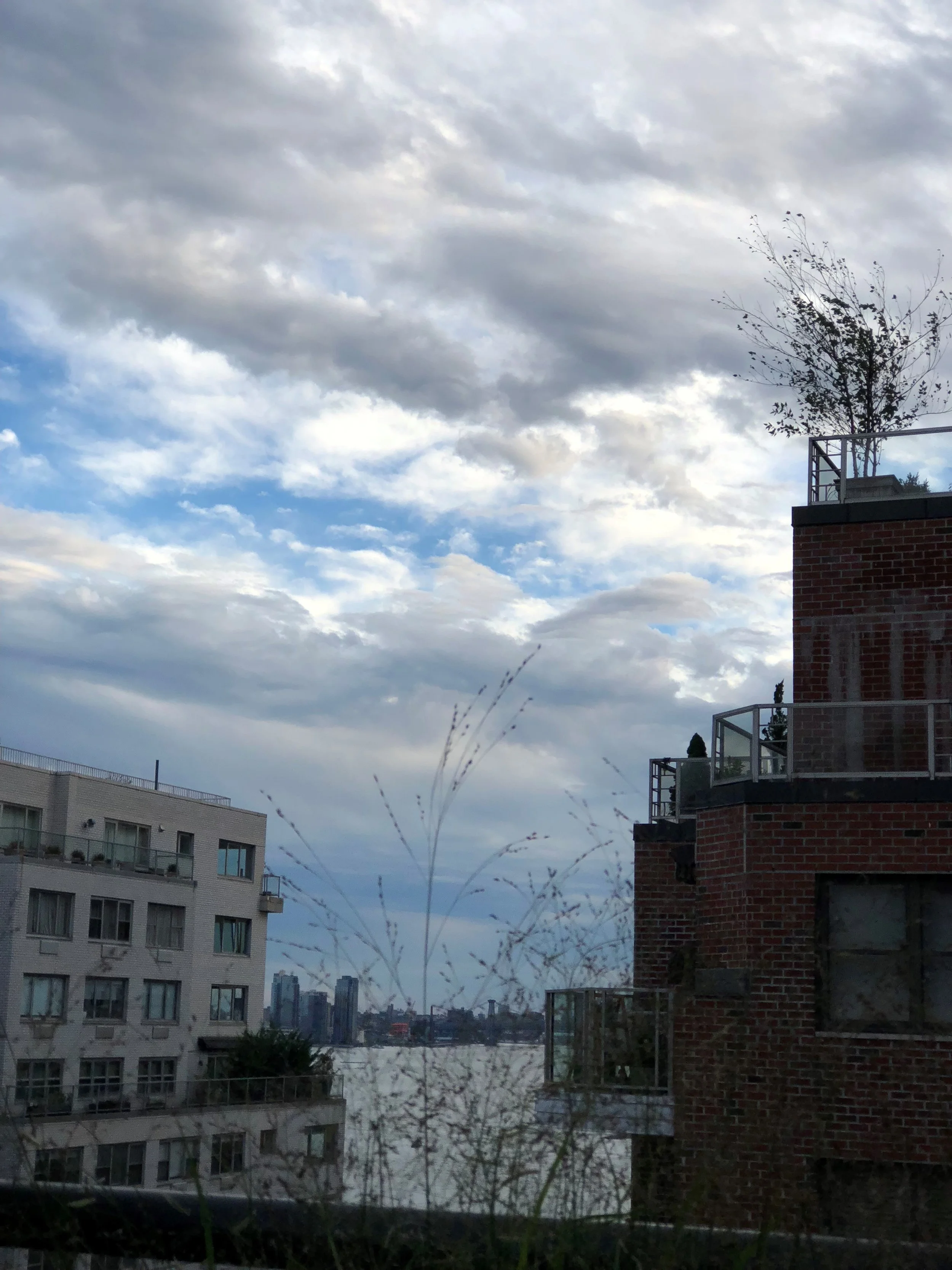 Almost all of the finer things in life are free 