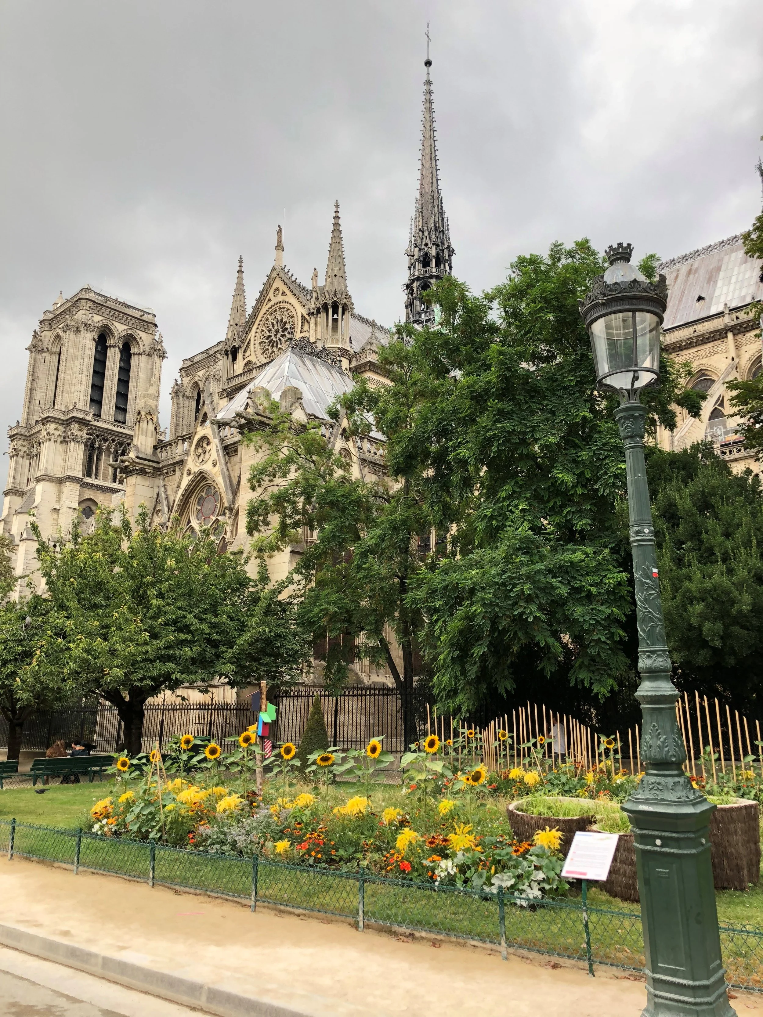 Notre Dame on Fire