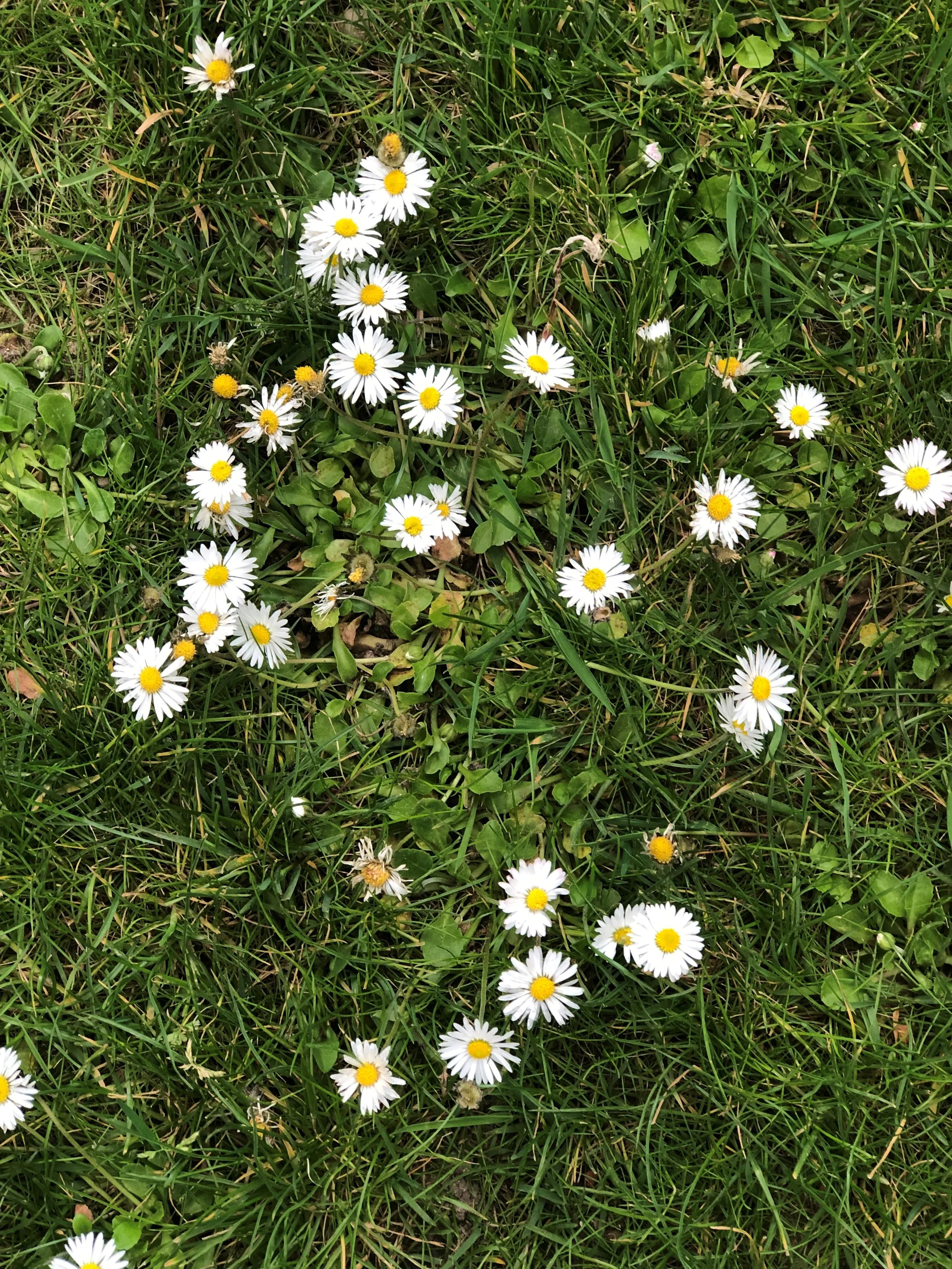 Spring, however, is the season of benevolent surprises.  