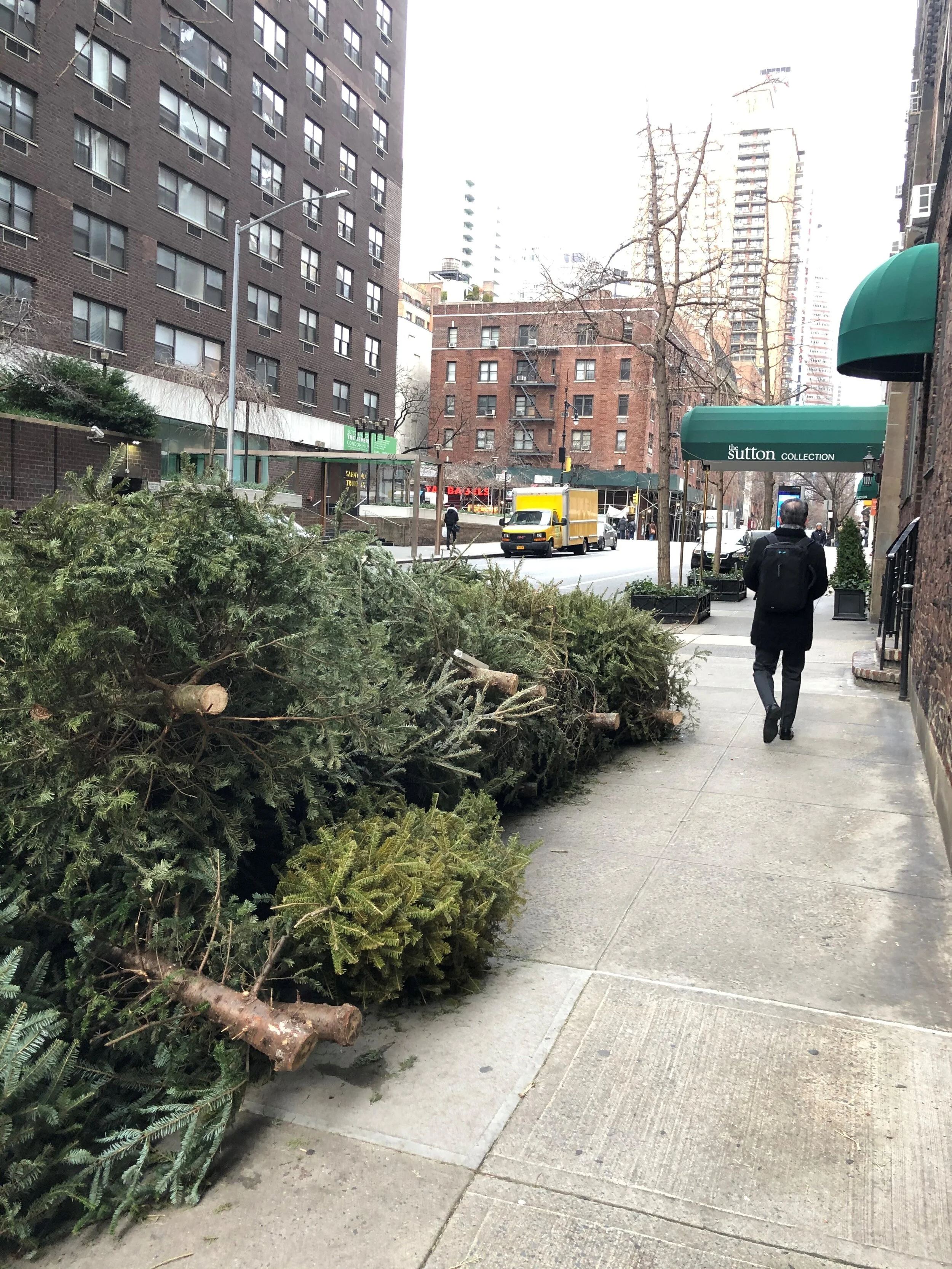 Starting the New Year 