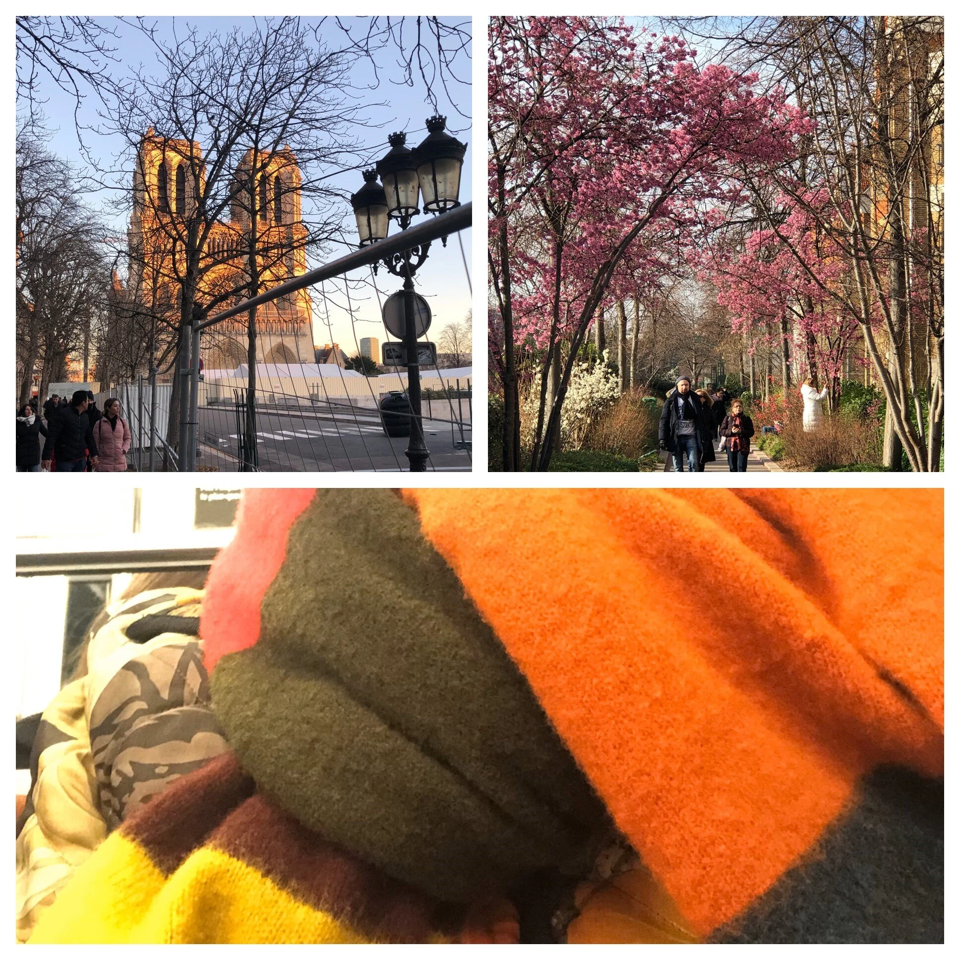 Becoming a Parisienne (Part one)