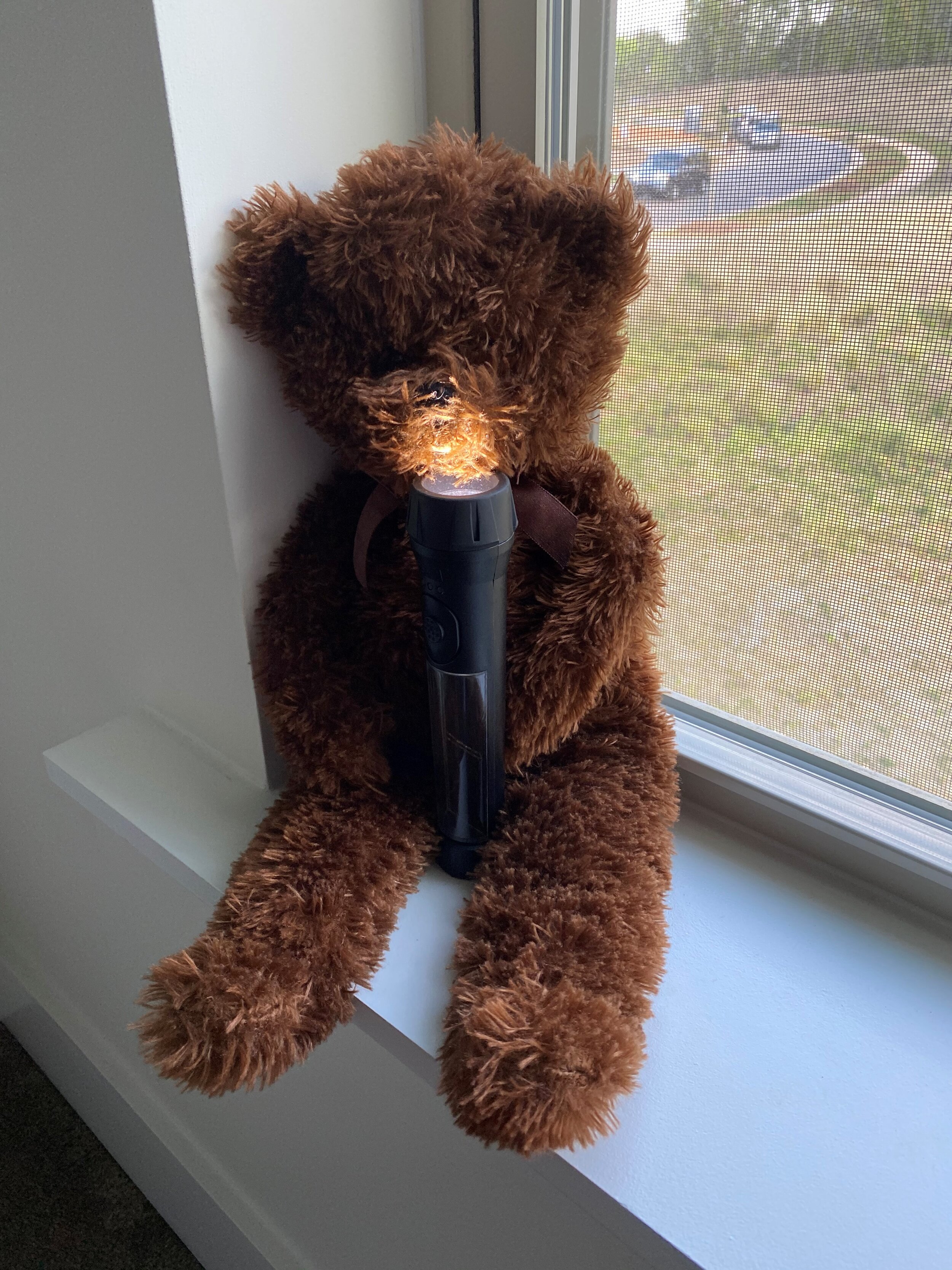  MAINTAINING YOUR SANITY THROUGH THE COVID-19 LOCKDOWN