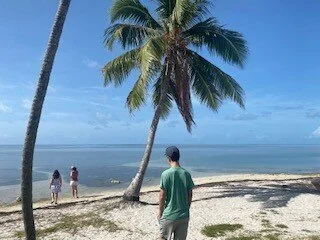 The sand may brush off,