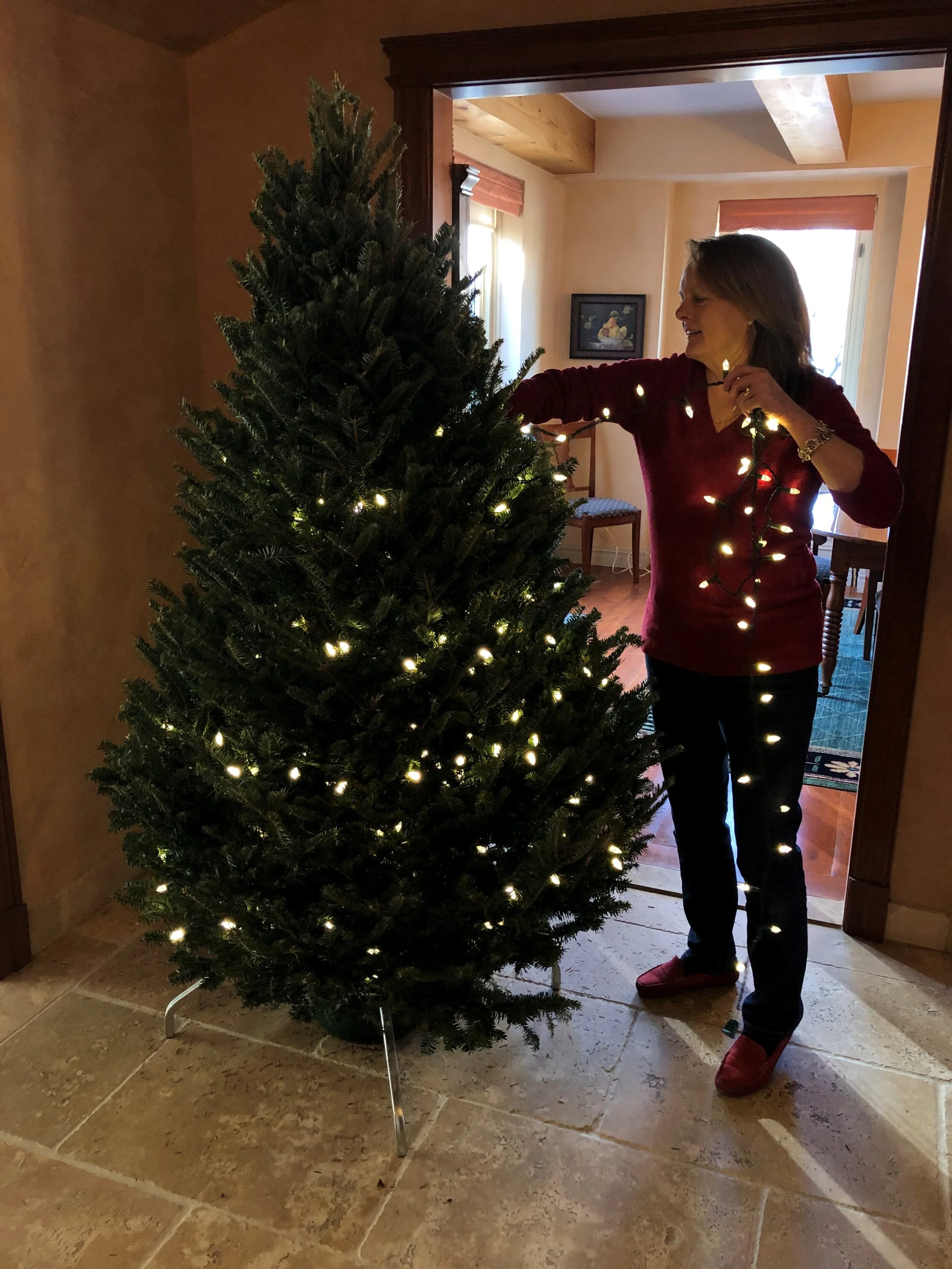 The Christmas the Grinch Didn’t Steal
