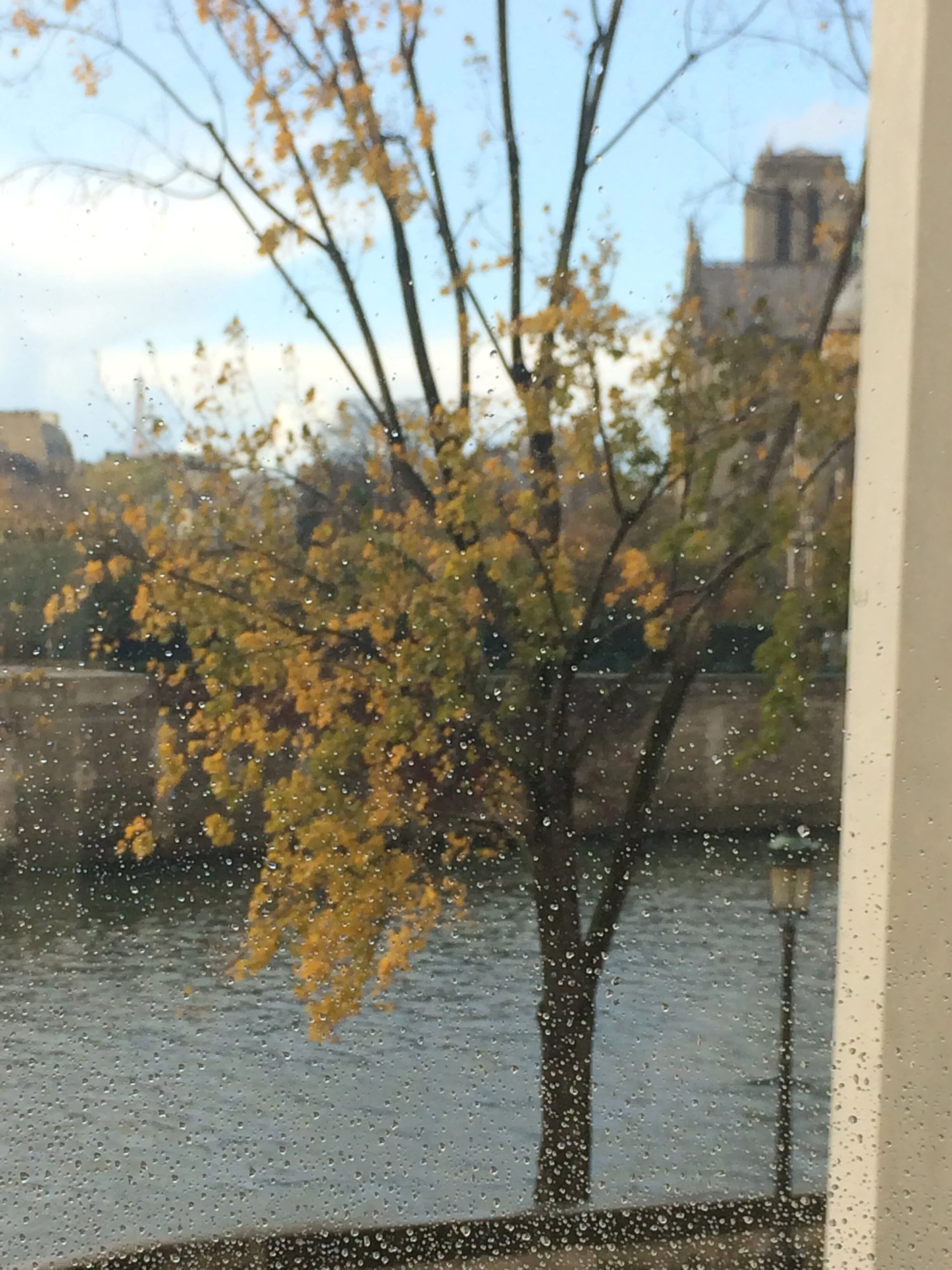 Like a welcome summer rain