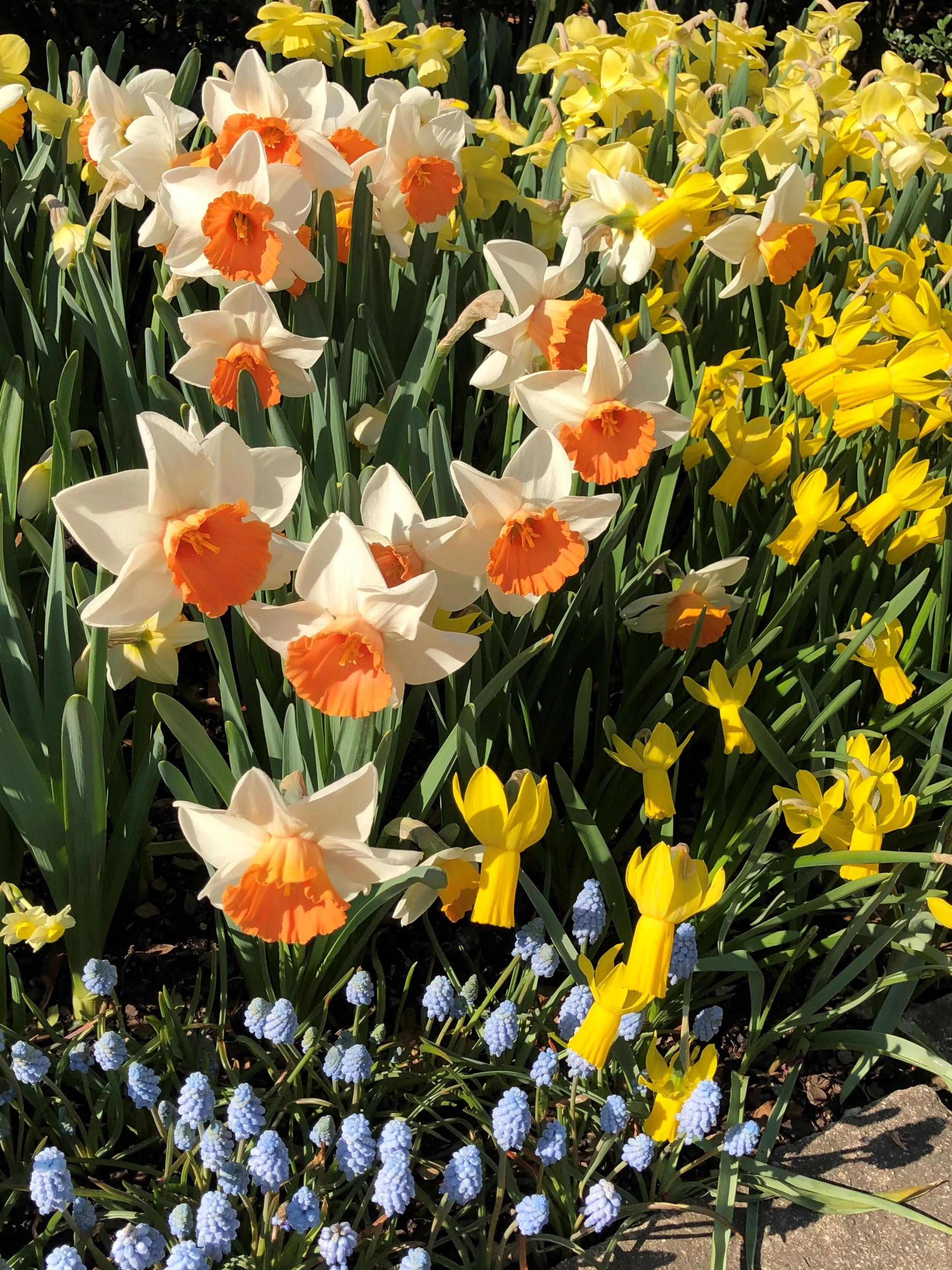 "The first real day of spring"