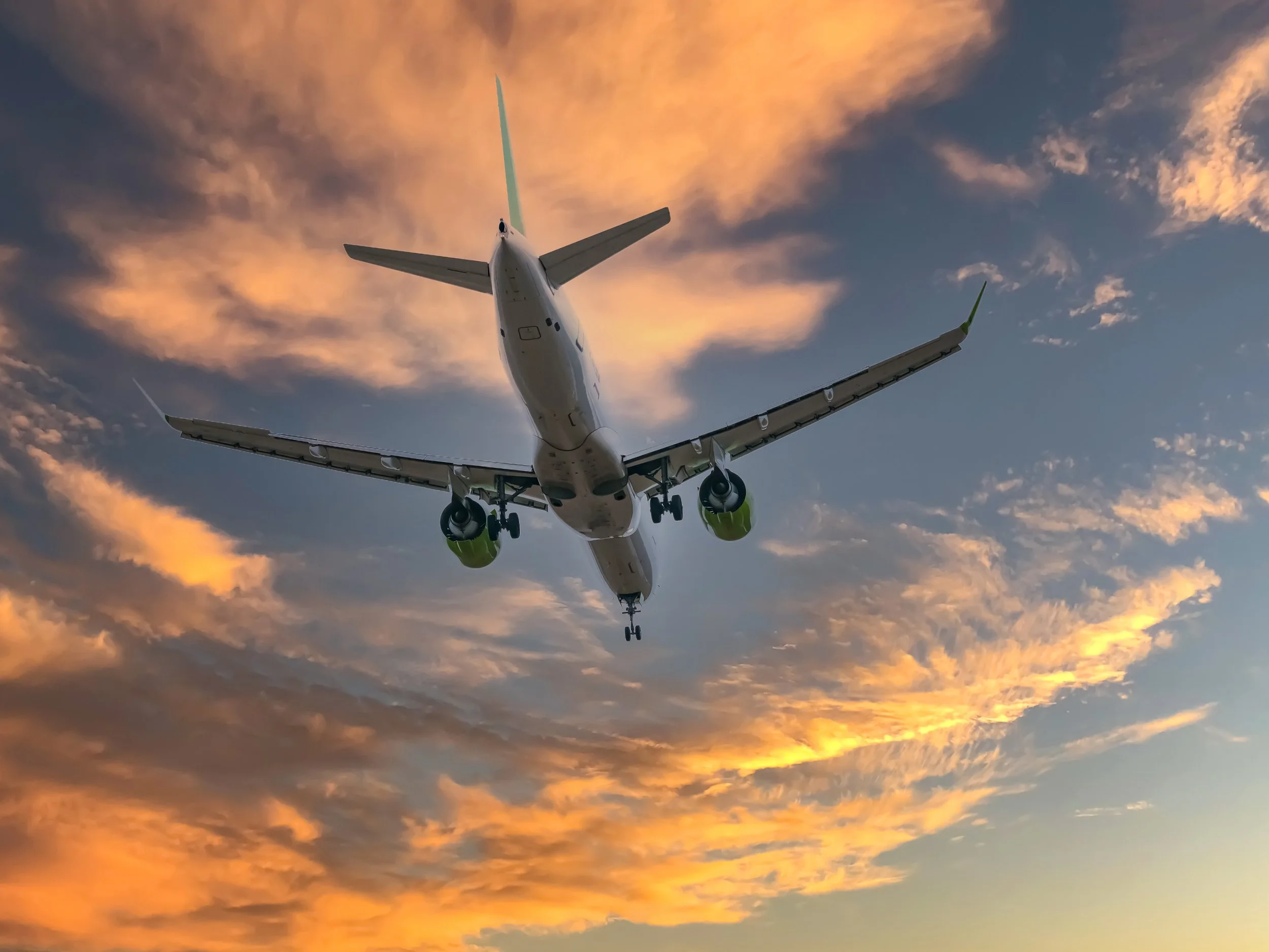 Fear of Flying…..with Man’s Best Friend 