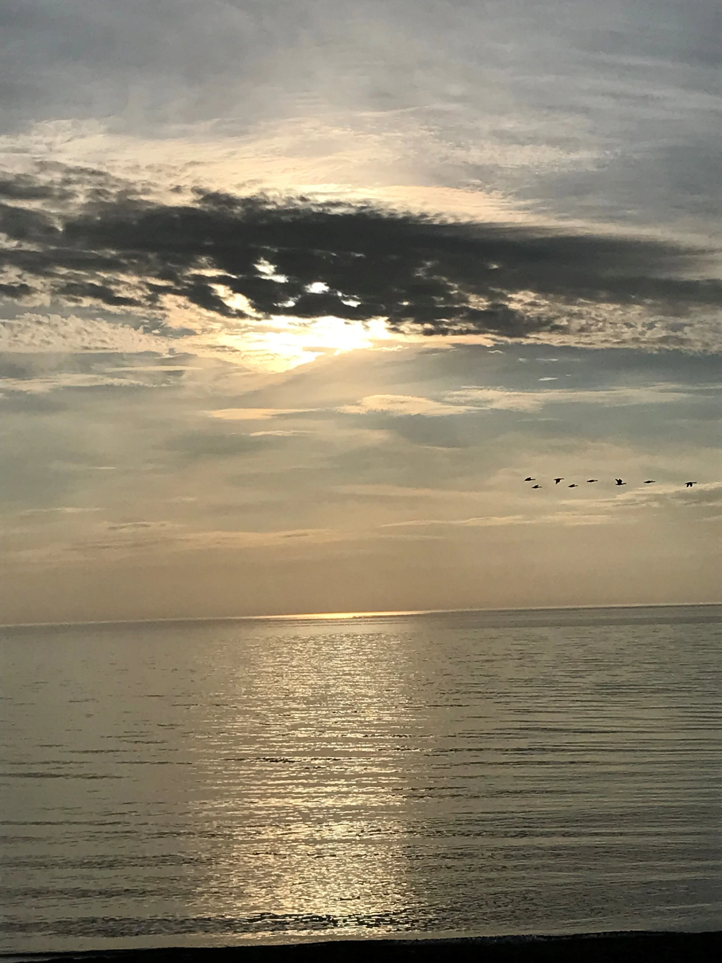 “Everyone has oceans to fly…. "