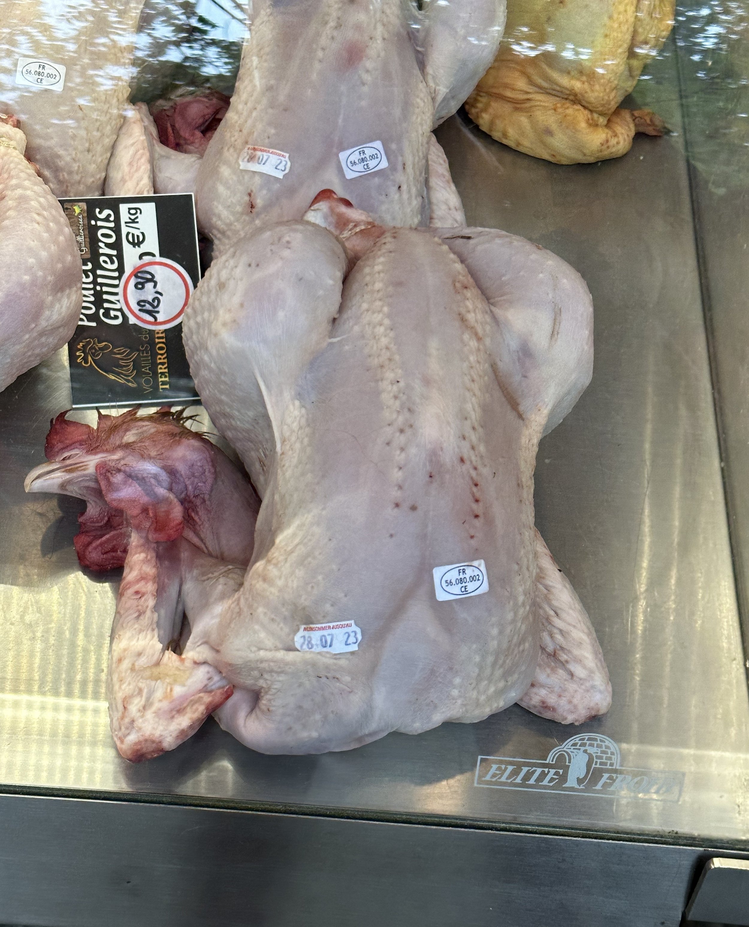 Expressions with the word Poulet or Poule