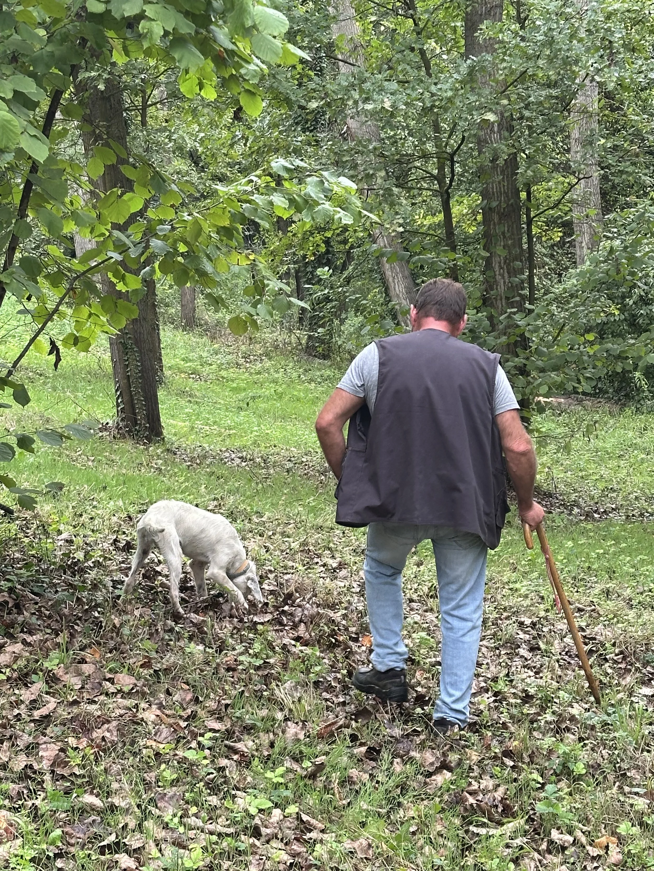 Foraging for Black Summer Truffles in Piedmont, Italy