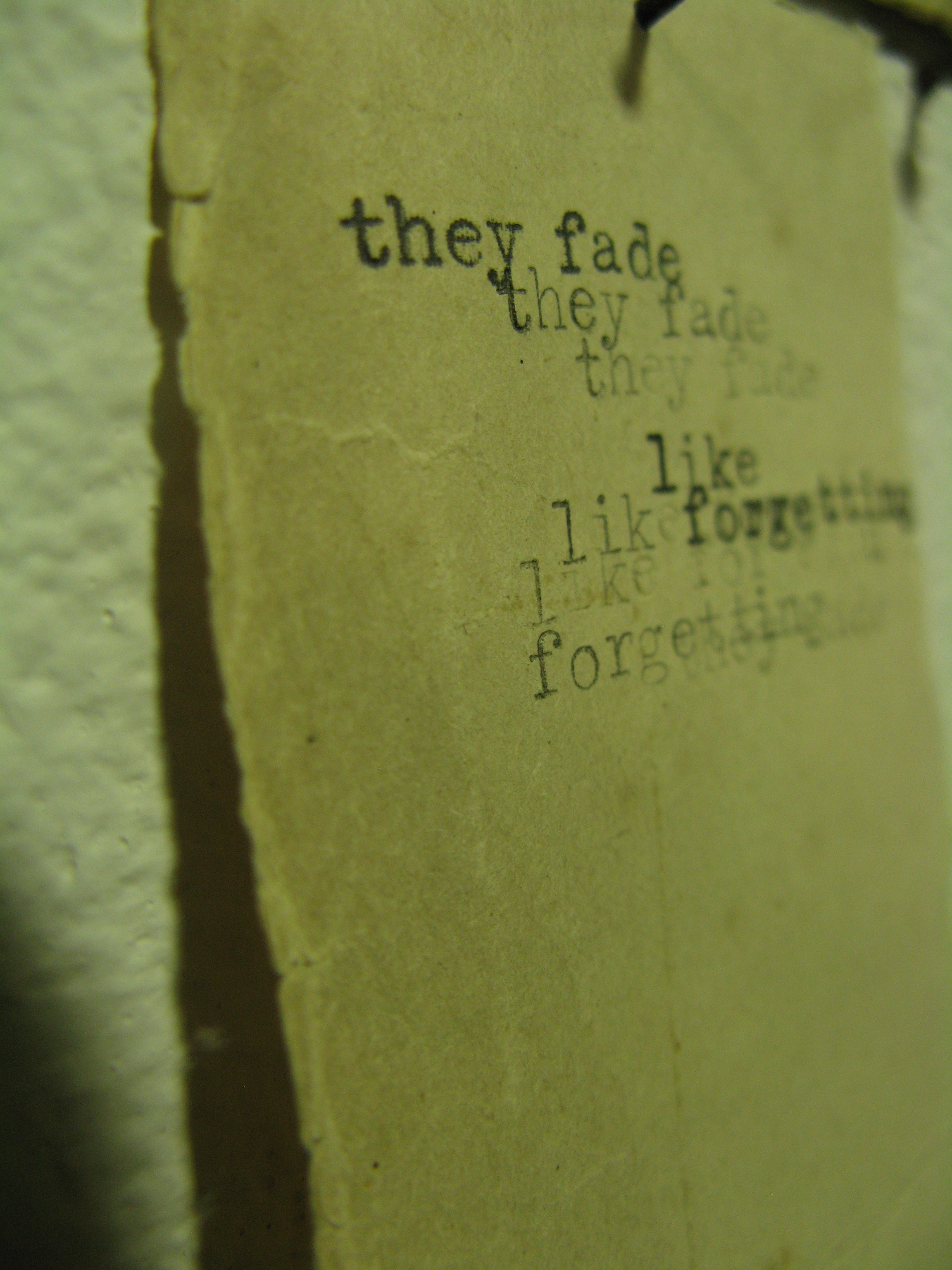 they fade.JPG