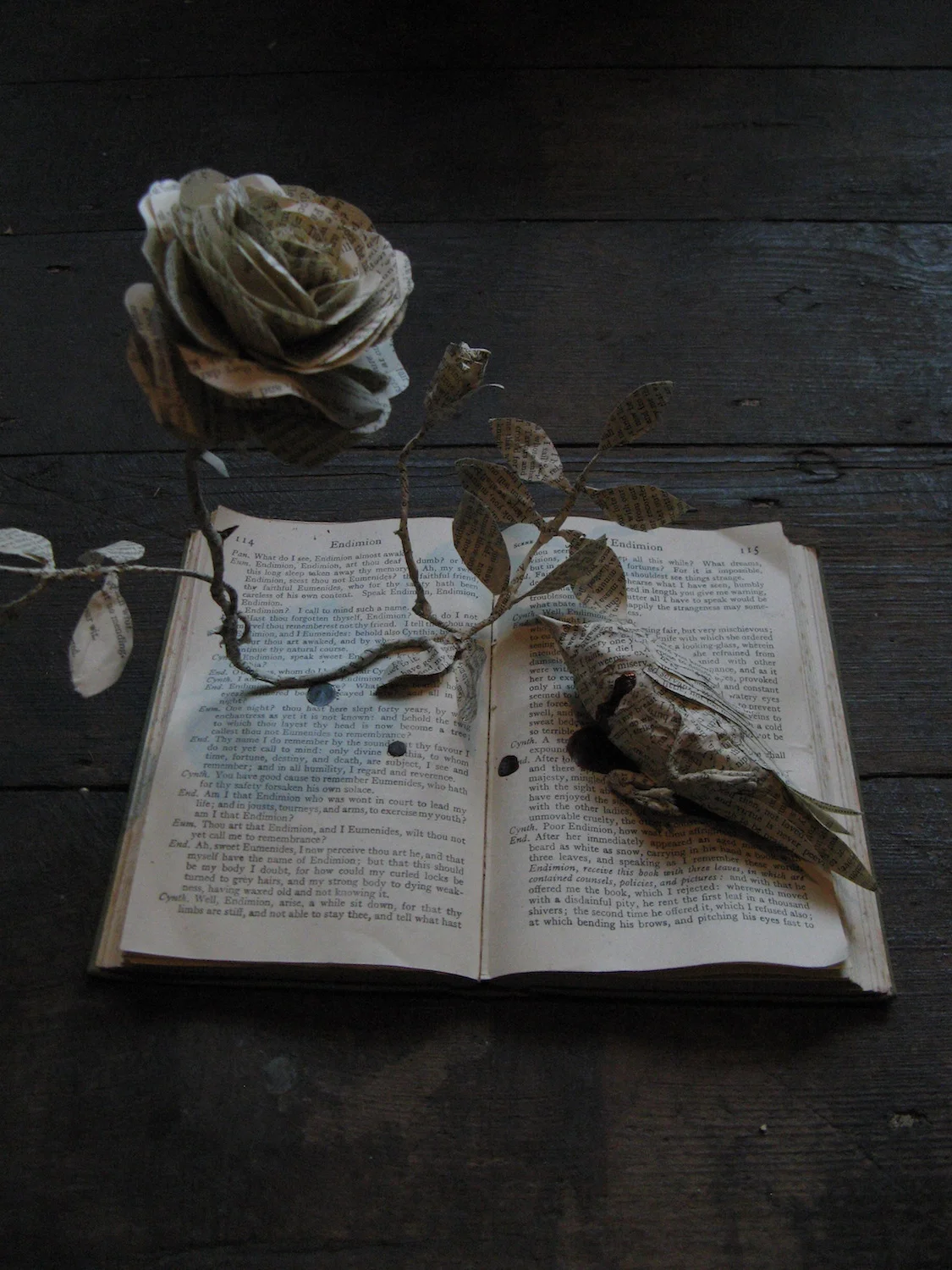 Elizabethan Drama Volume I.JPG