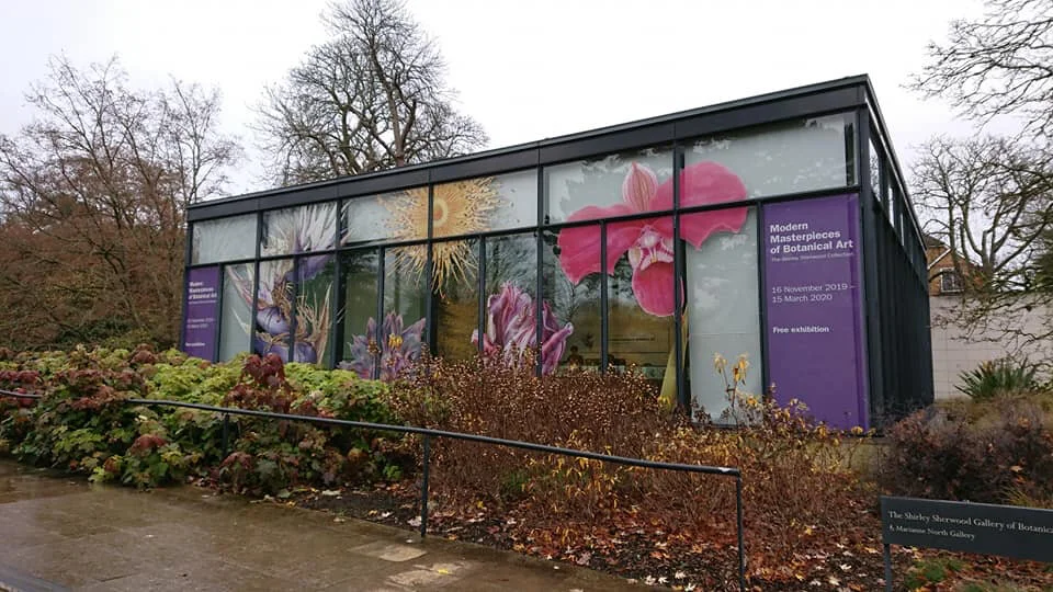 Modern Masterpieces of Botanical Art — Carol Woodin Botanical Art