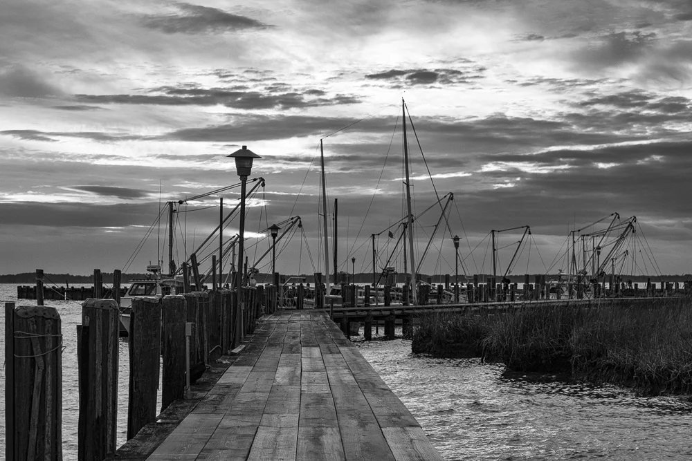 20180127_ElliotIsland_RFSullivan_01.jpg