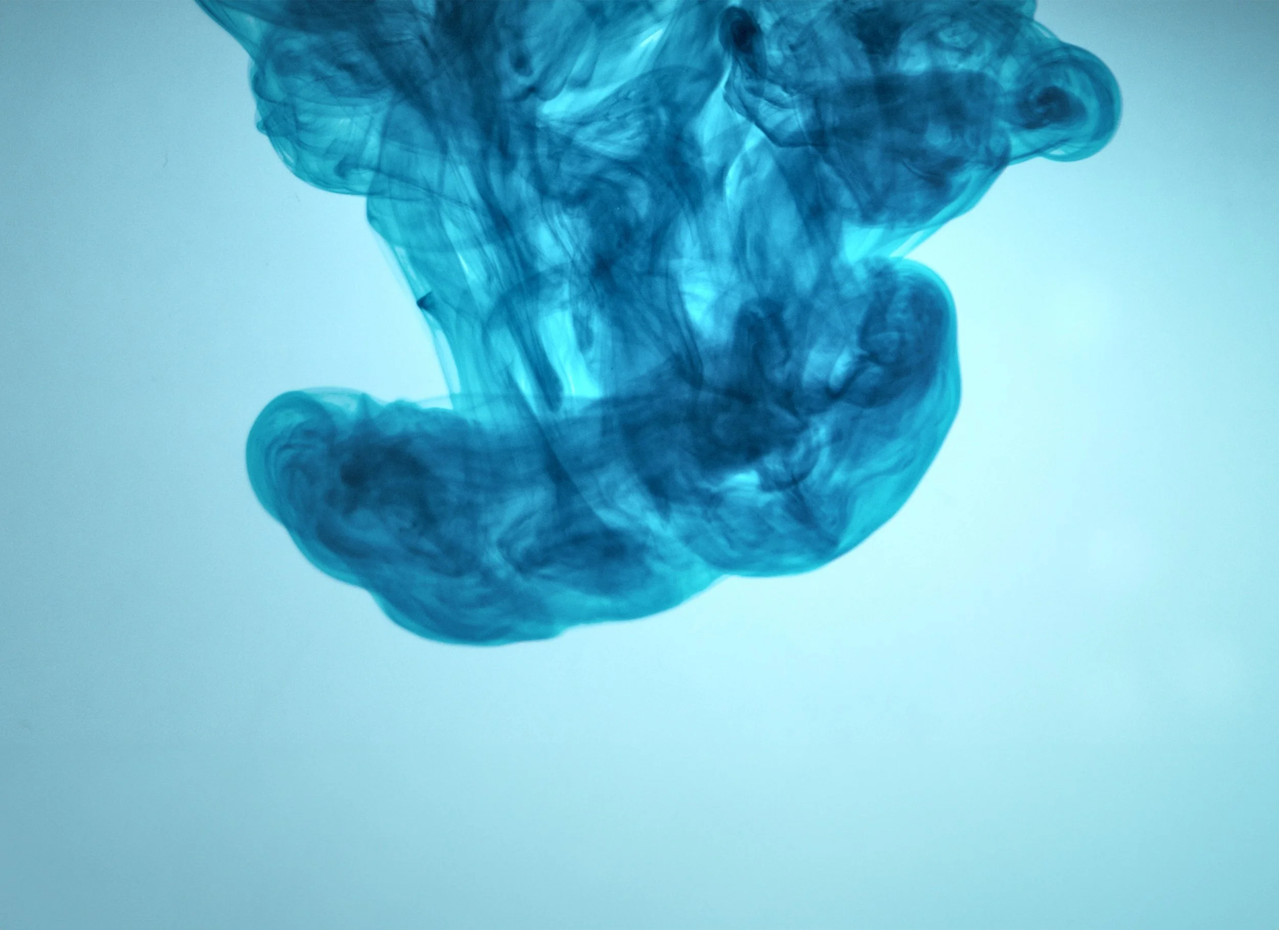 Cocktail couture support image 002.jpg